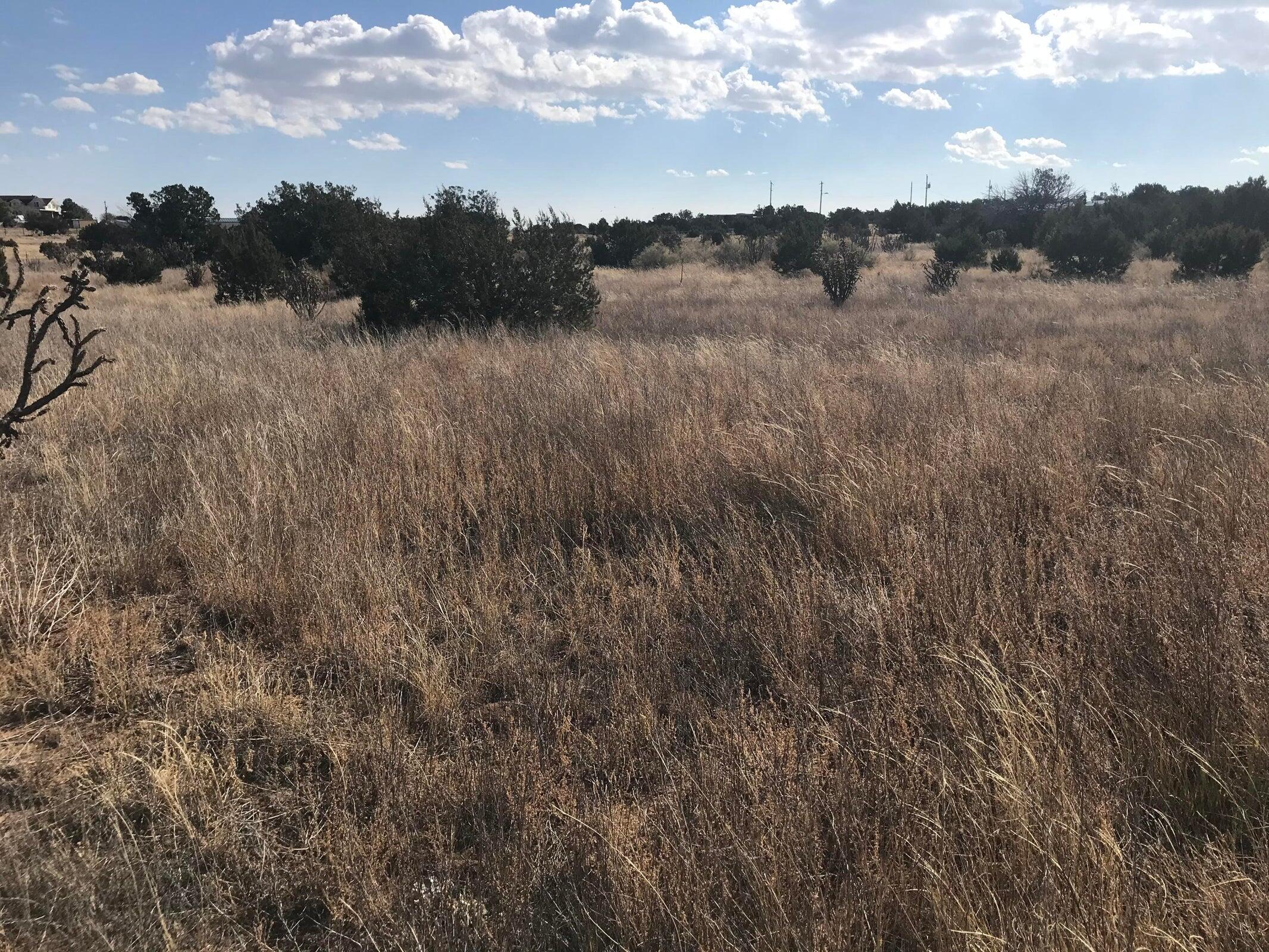 Photo 5 — TBD Indian Hills Road