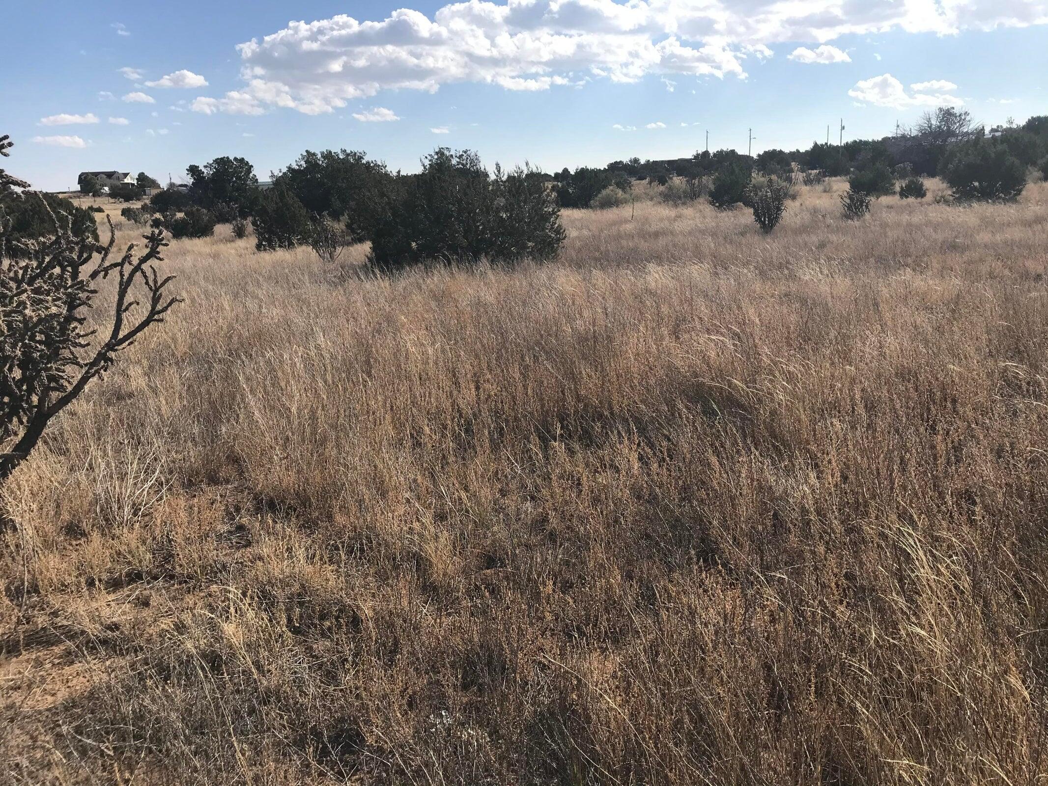 Photo 6 — TBD Indian Hills Road