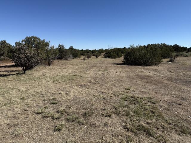 Photo 17 — TBD Indian Hills Road