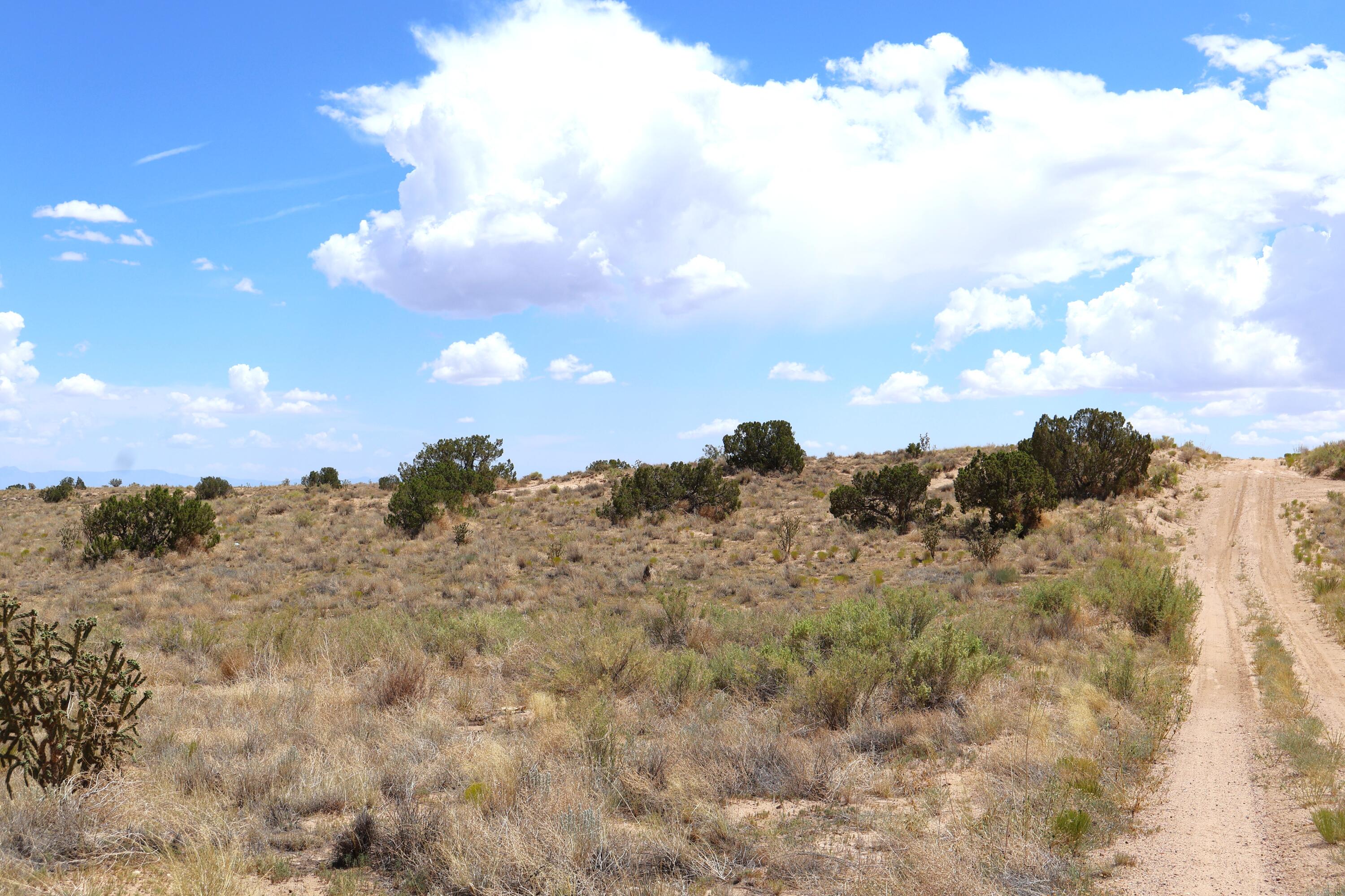 Photo 10 — Lot 20 Rio Rancho Estates SW