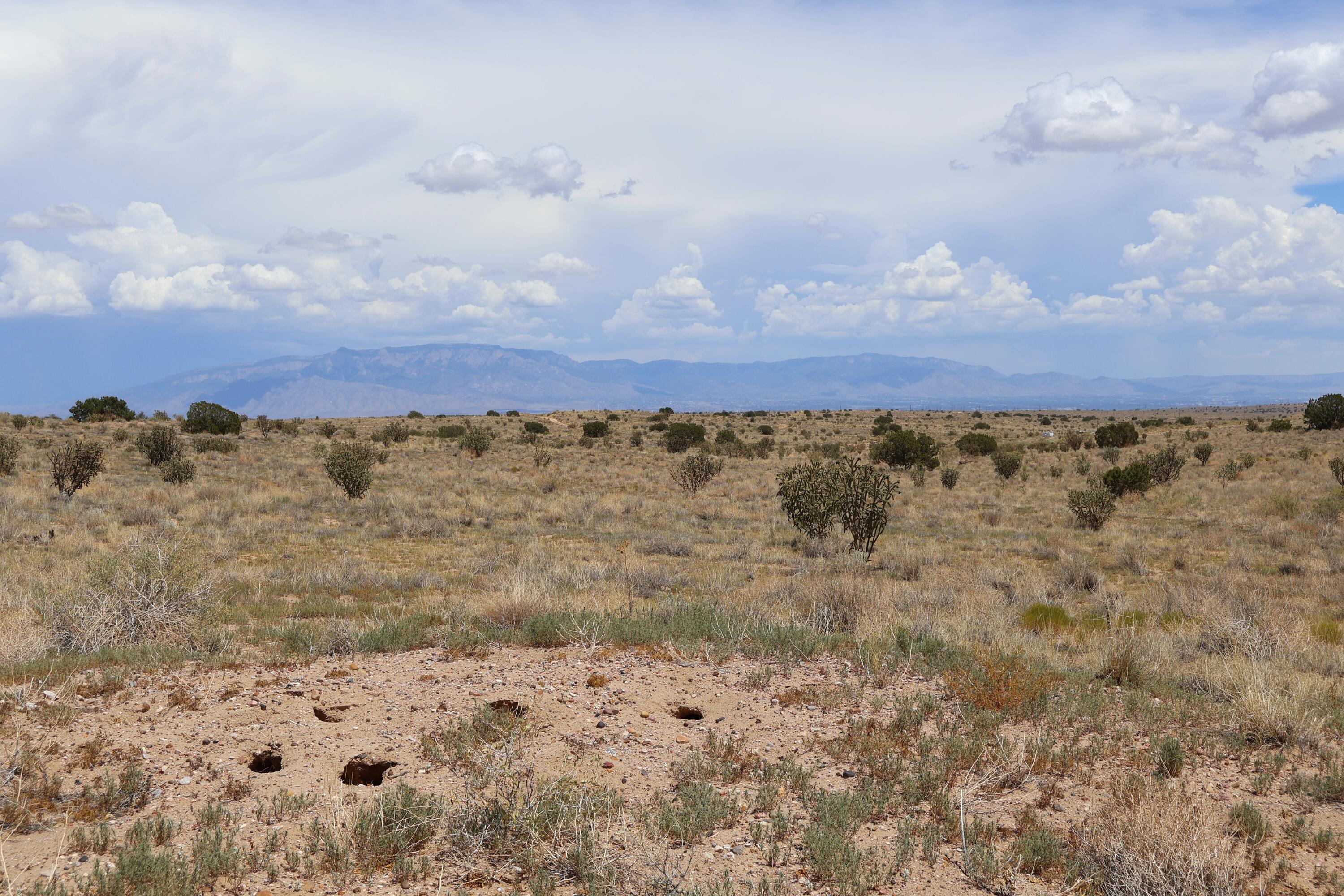 Photo 13 — Lot 20 Rio Rancho Estates SW