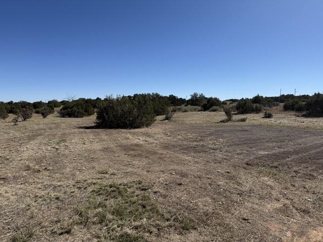 Photo 3 — 57 Airport Drive
