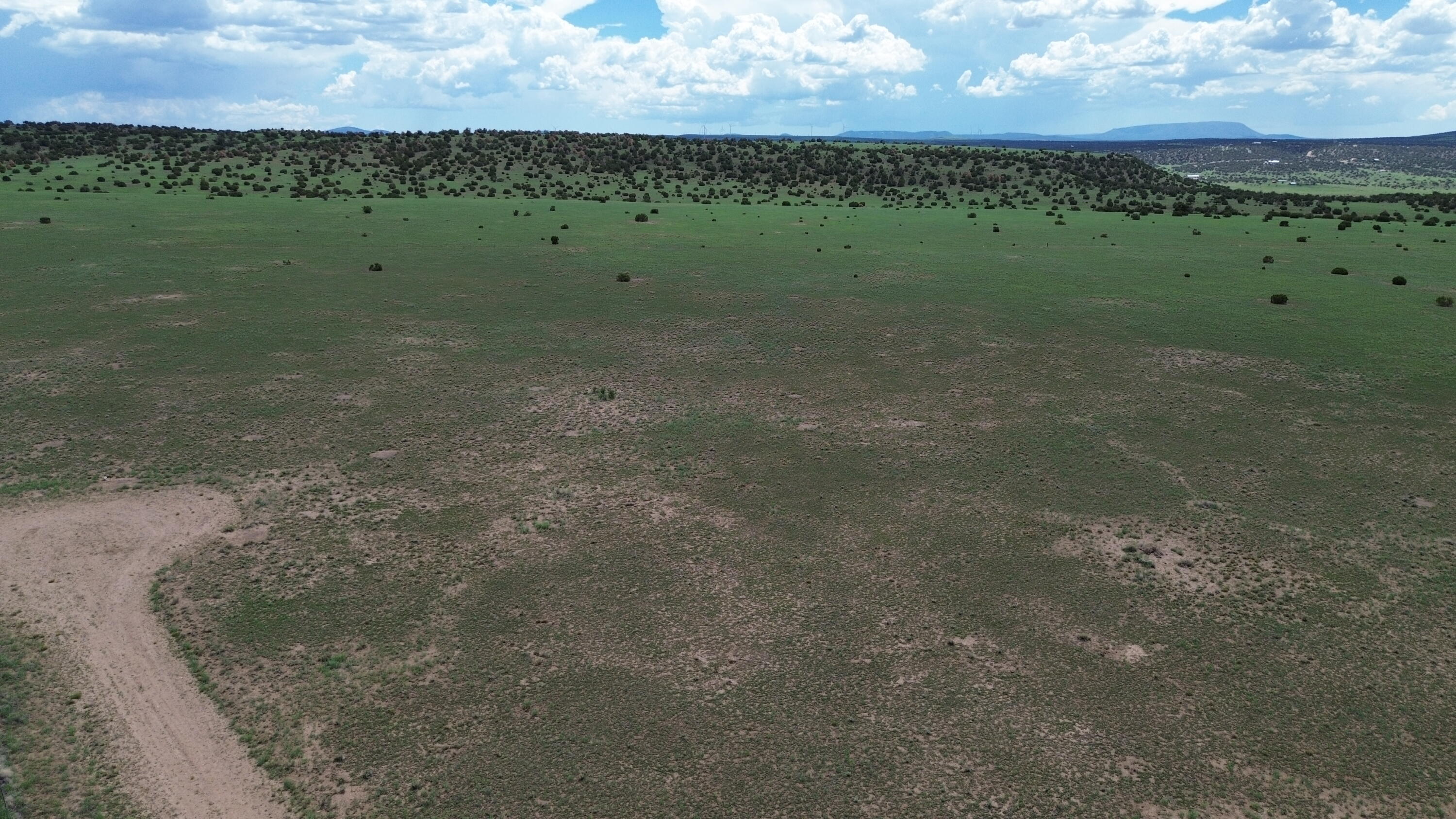 LOT 169 DEER CIRCLE, Quemado, NM 87829