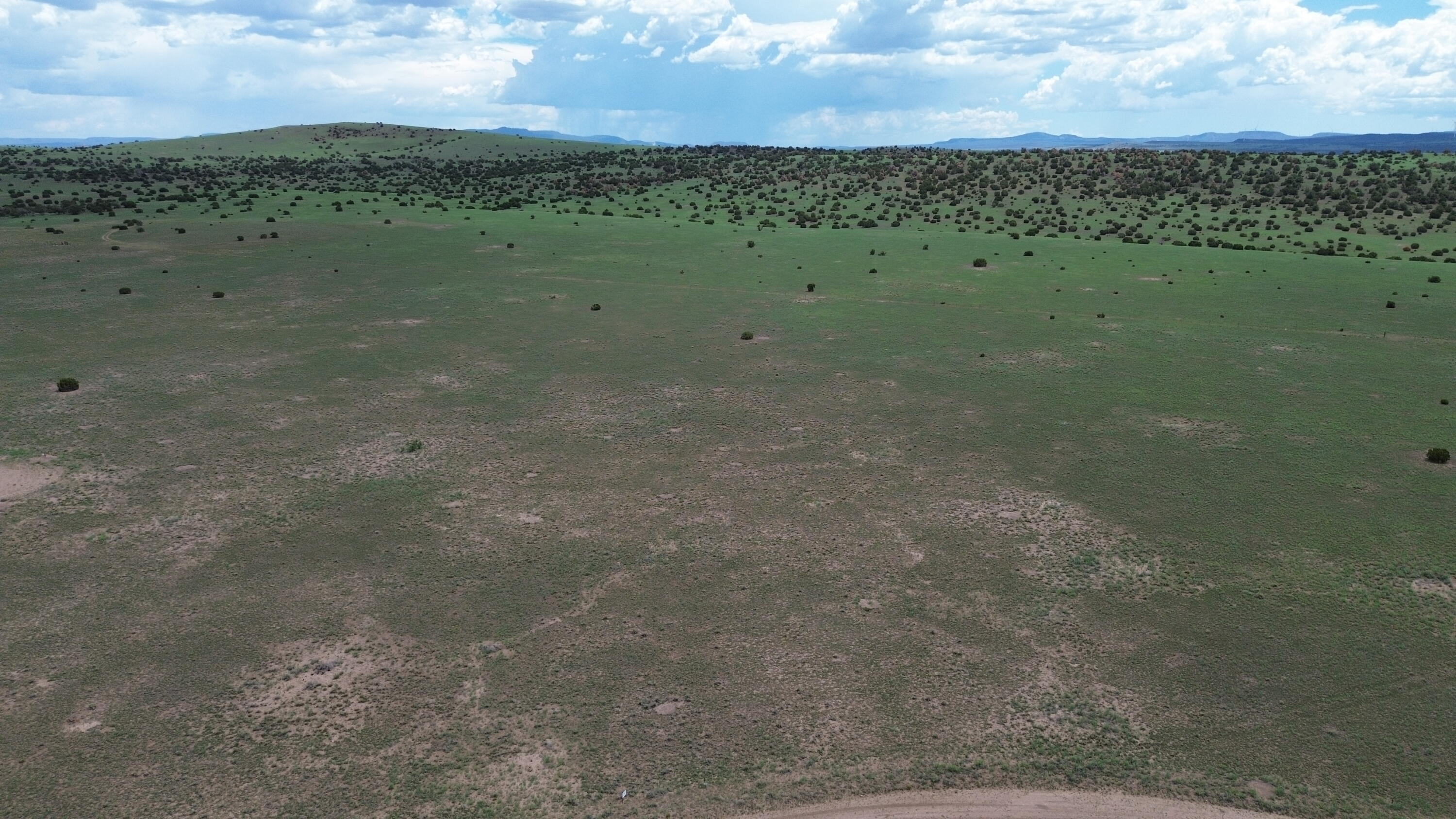 Photo 5 — LOT 169 DEER CIRCLE