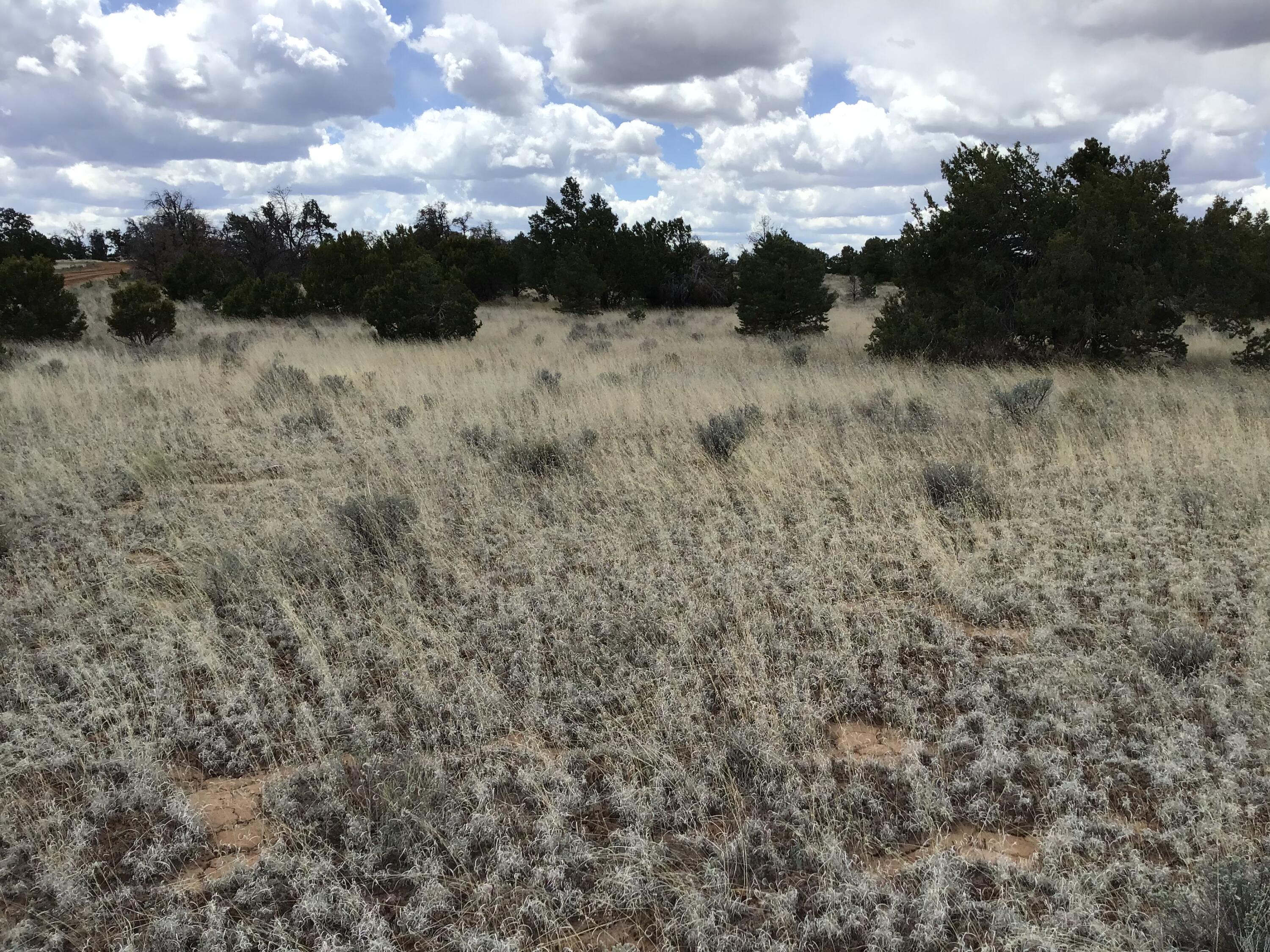 Lots 38-39 Country Lane, Ramah, NM 87321