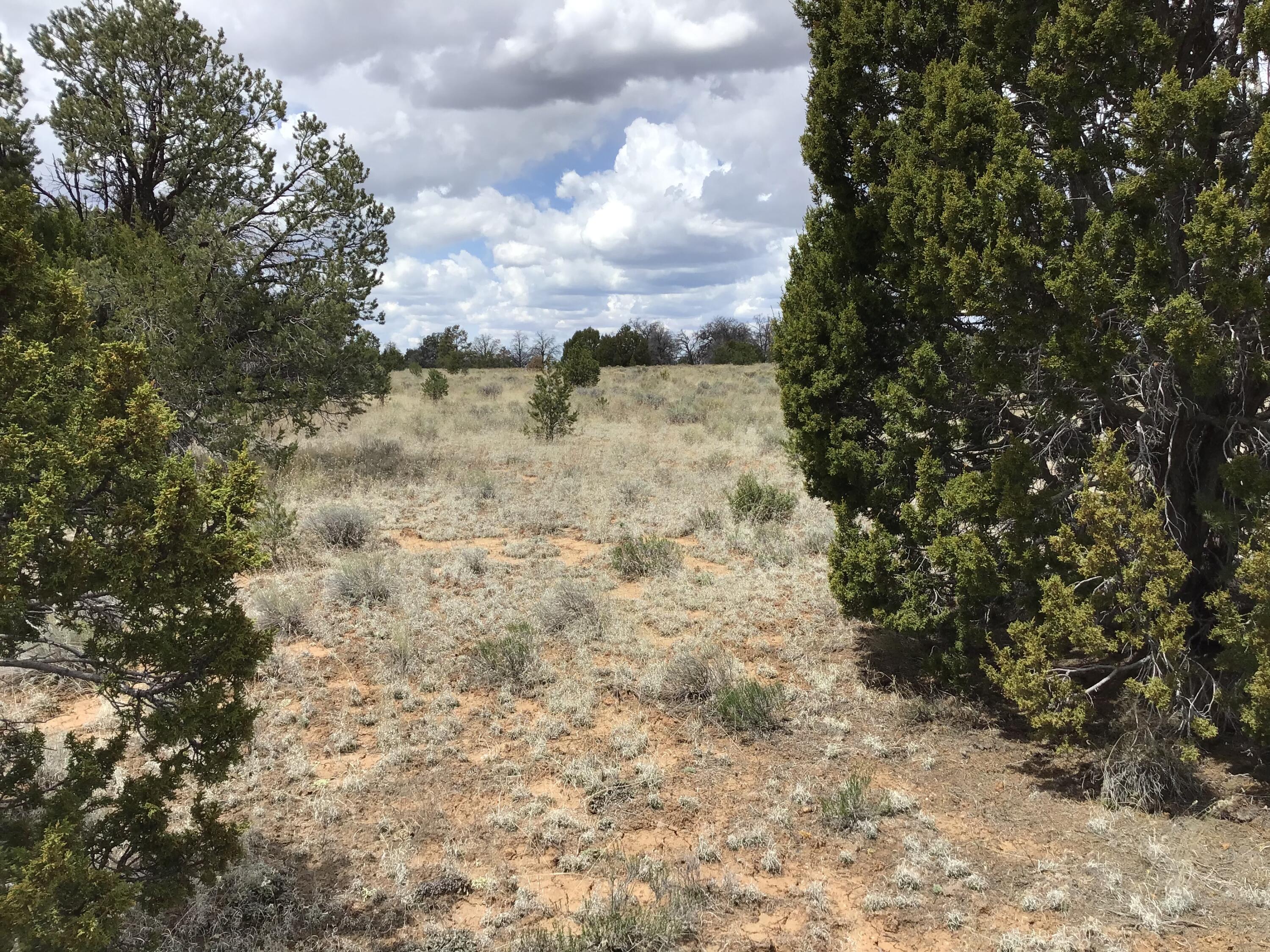 Photo 12 — Lots 38-39 Country Lane