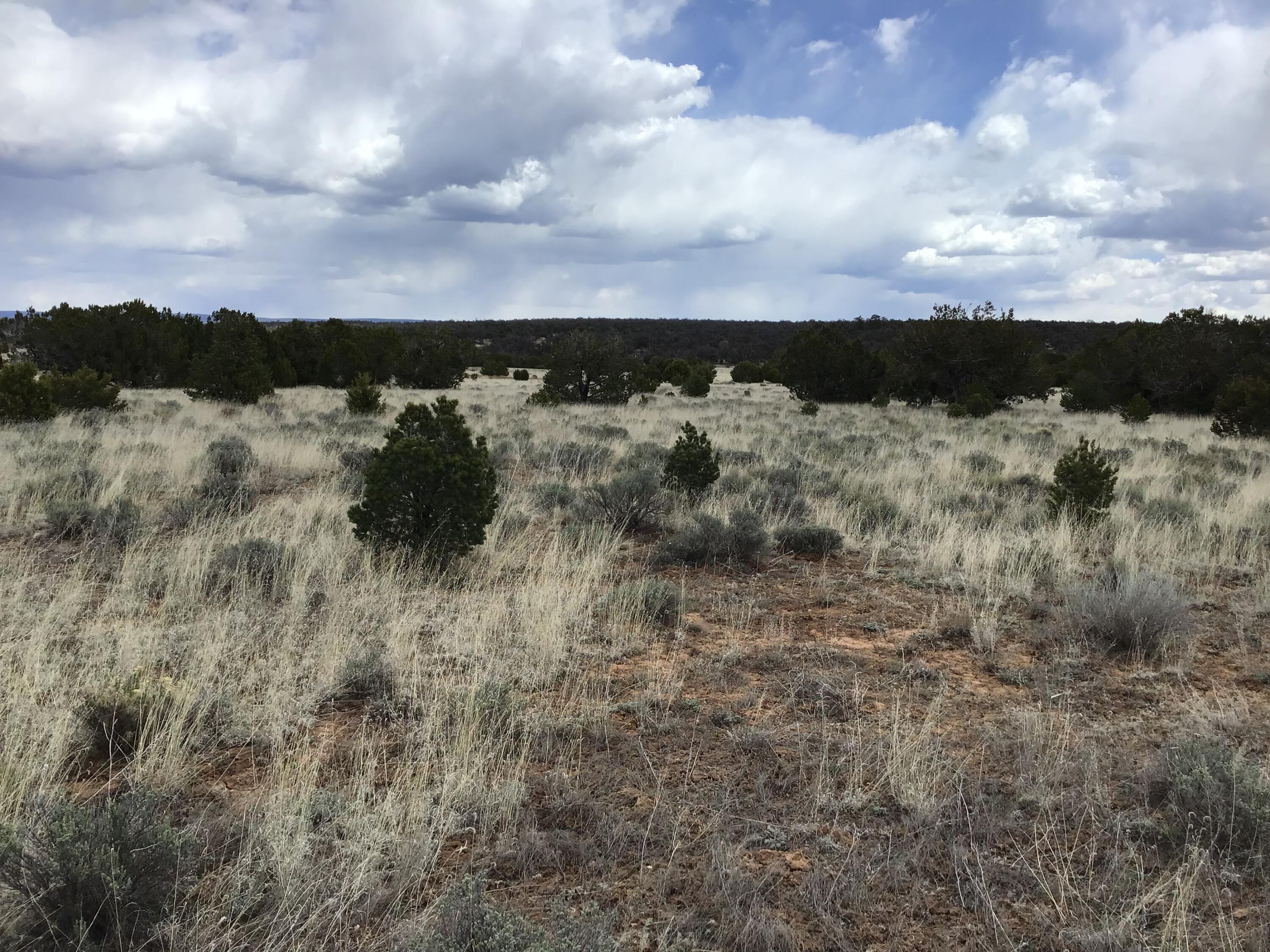 Photo 15 — Lots 38-39 Country Lane