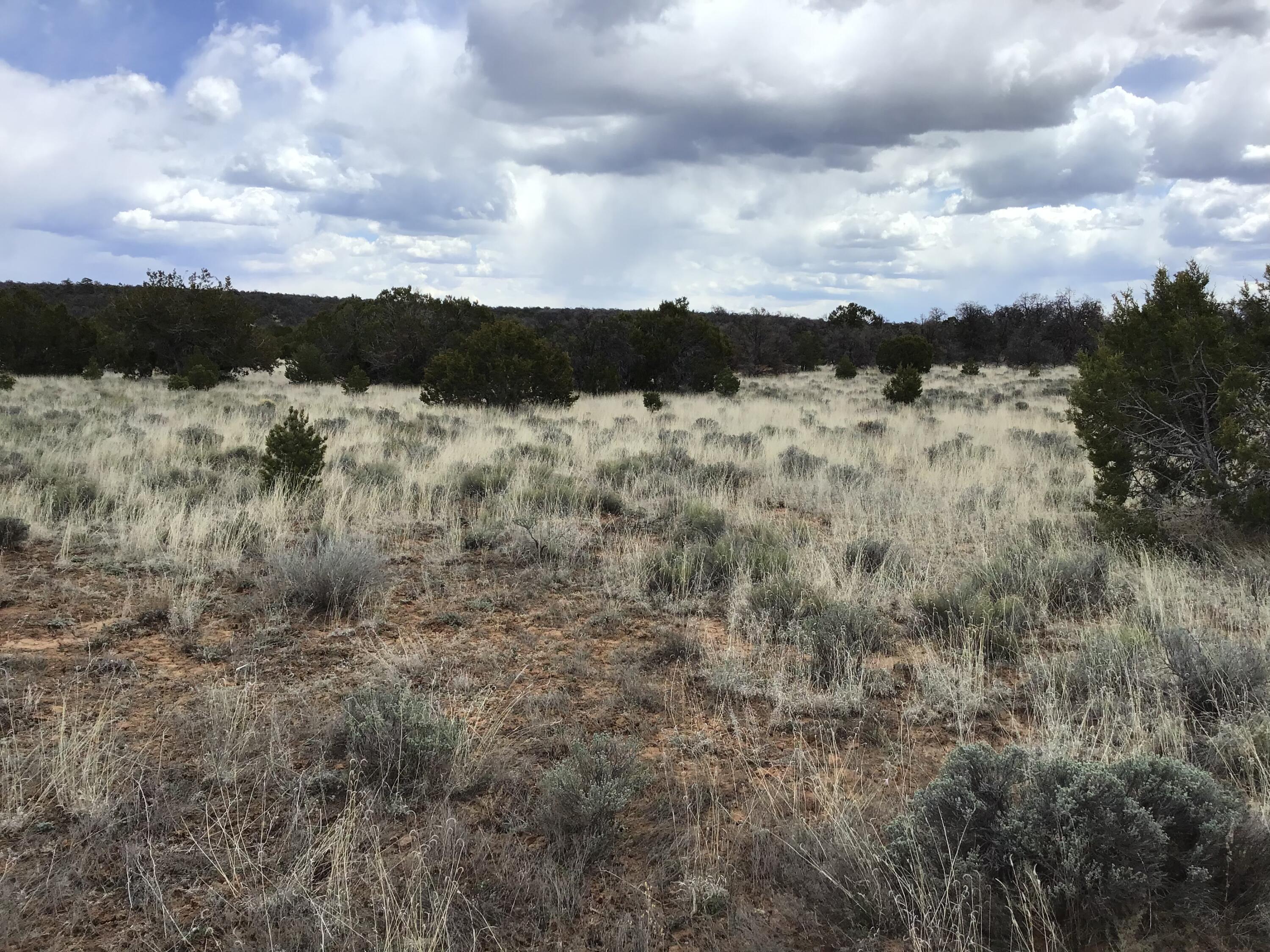 Photo 16 — Lots 38-39 Country Lane