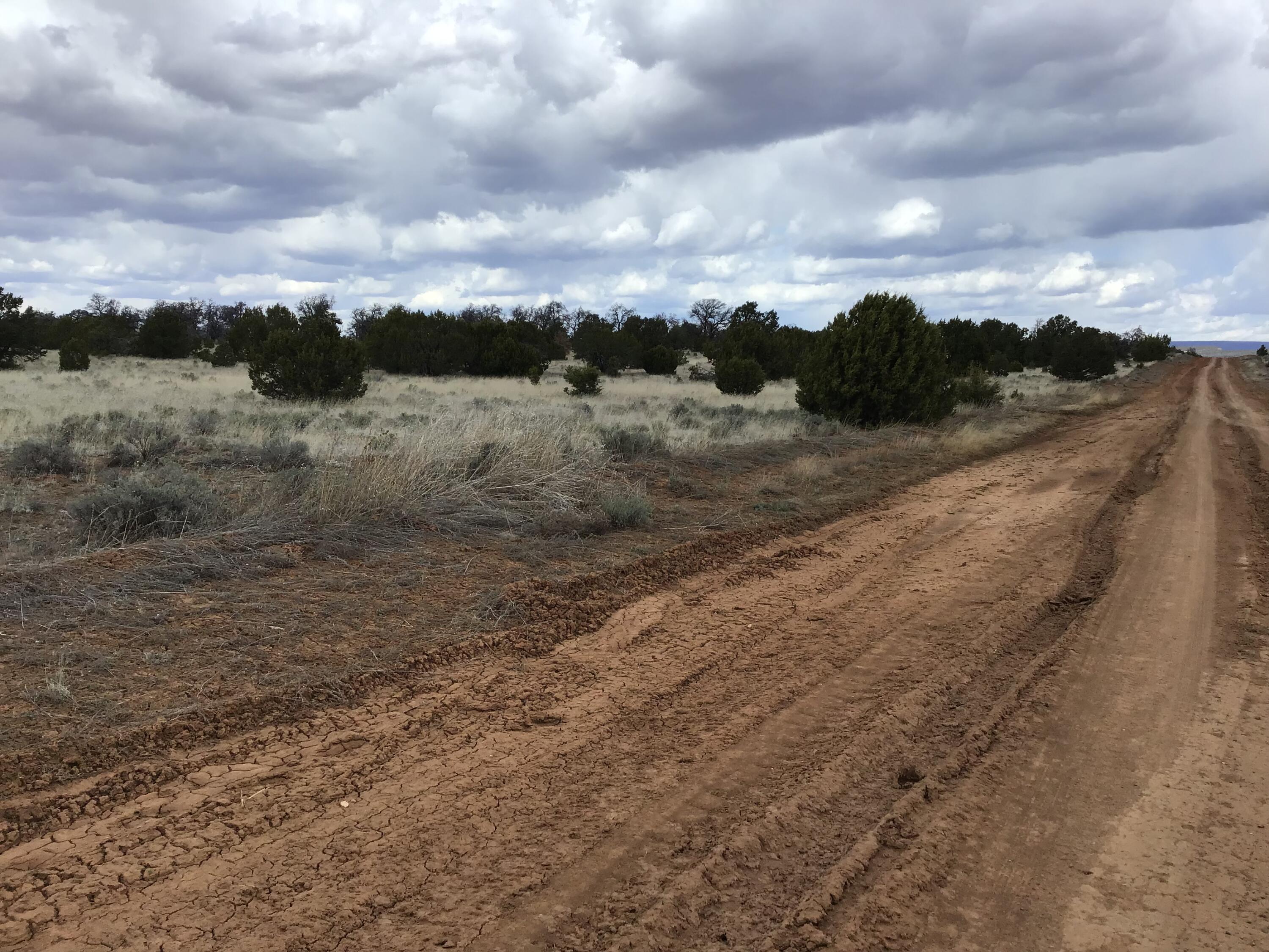 Photo 18 — Lots 38-39 Country Lane