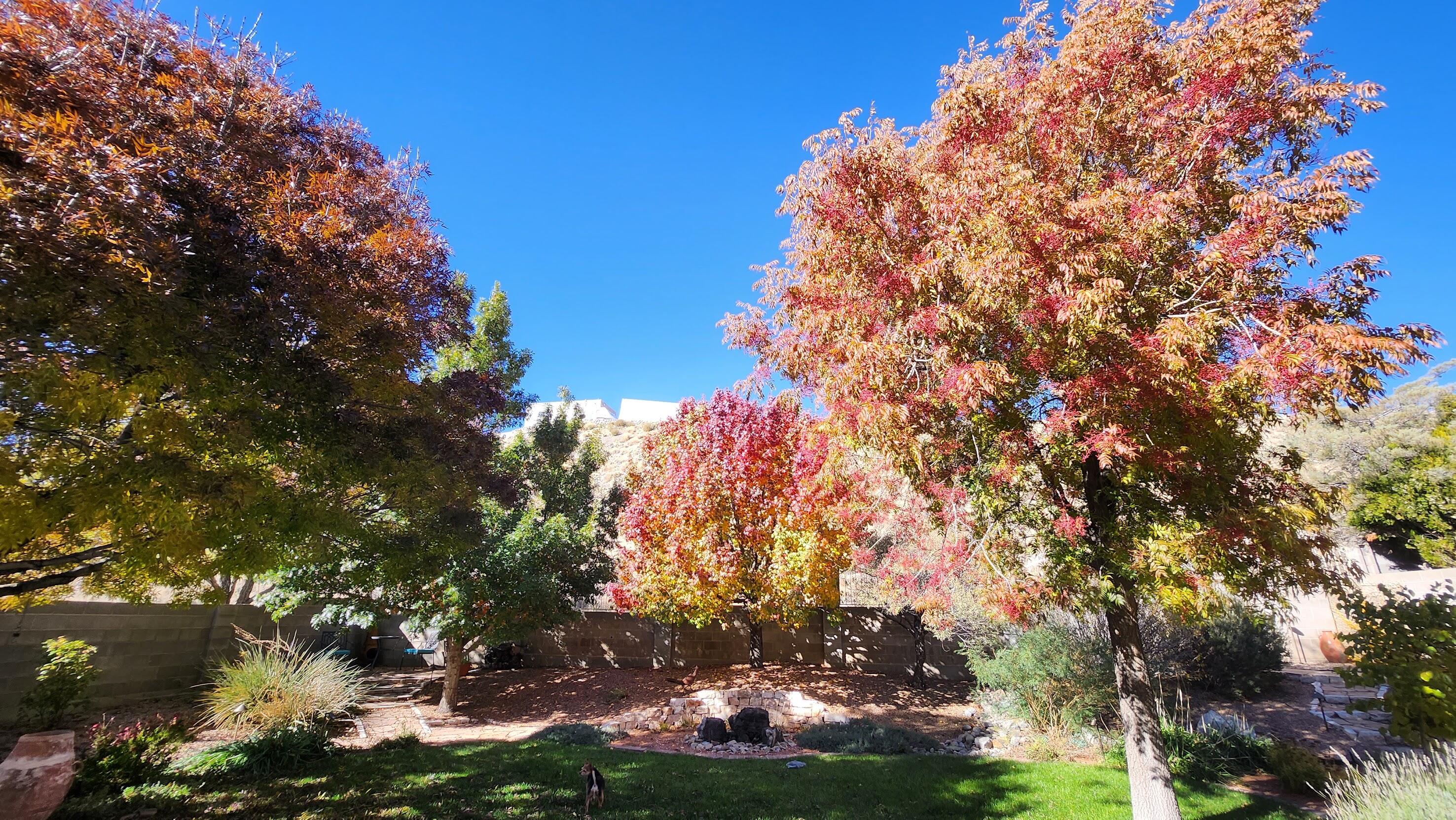 Photo 15 — 14341 Marquette Drive NE