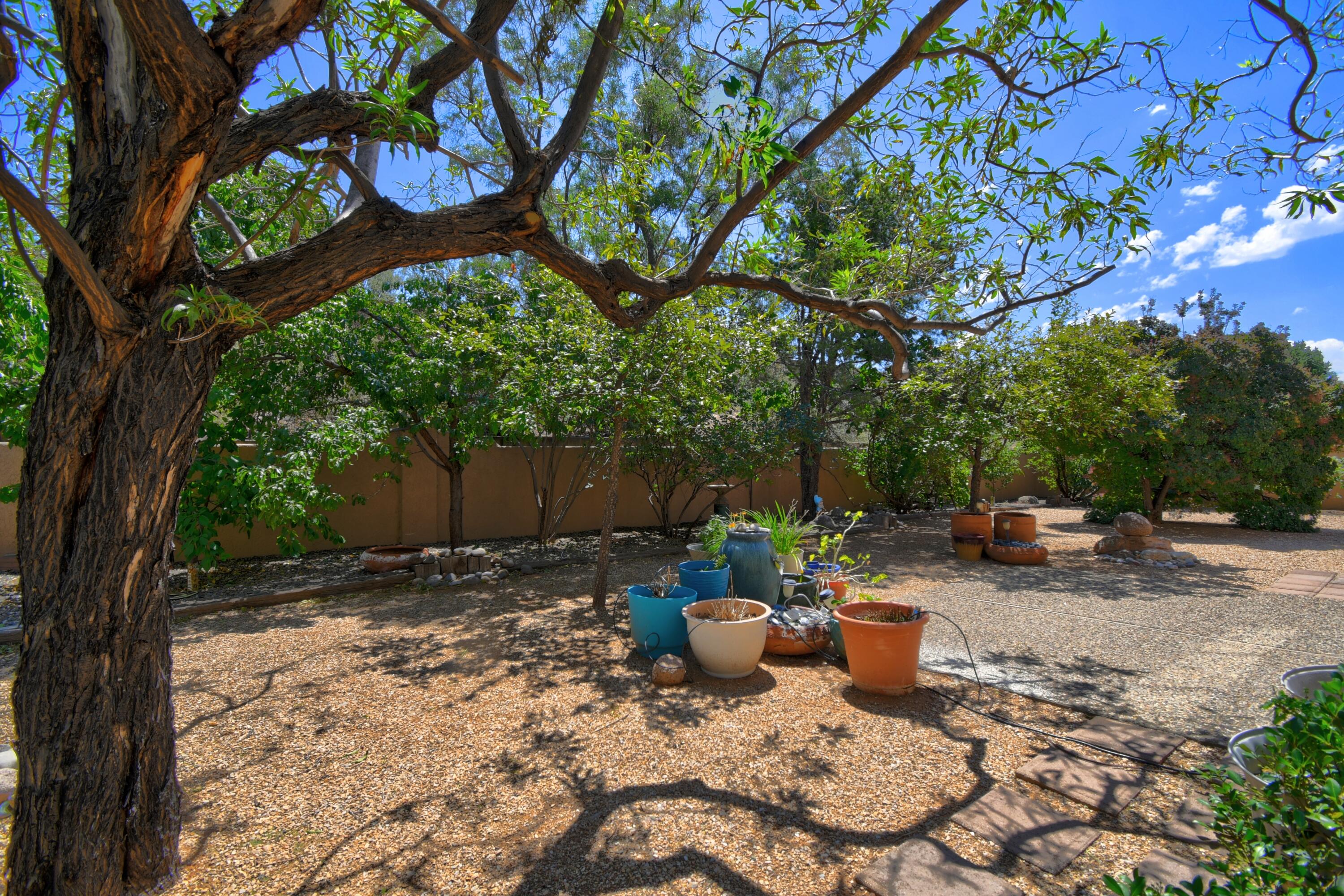 Photo 3 — 2762 Cliffrose Drive NE