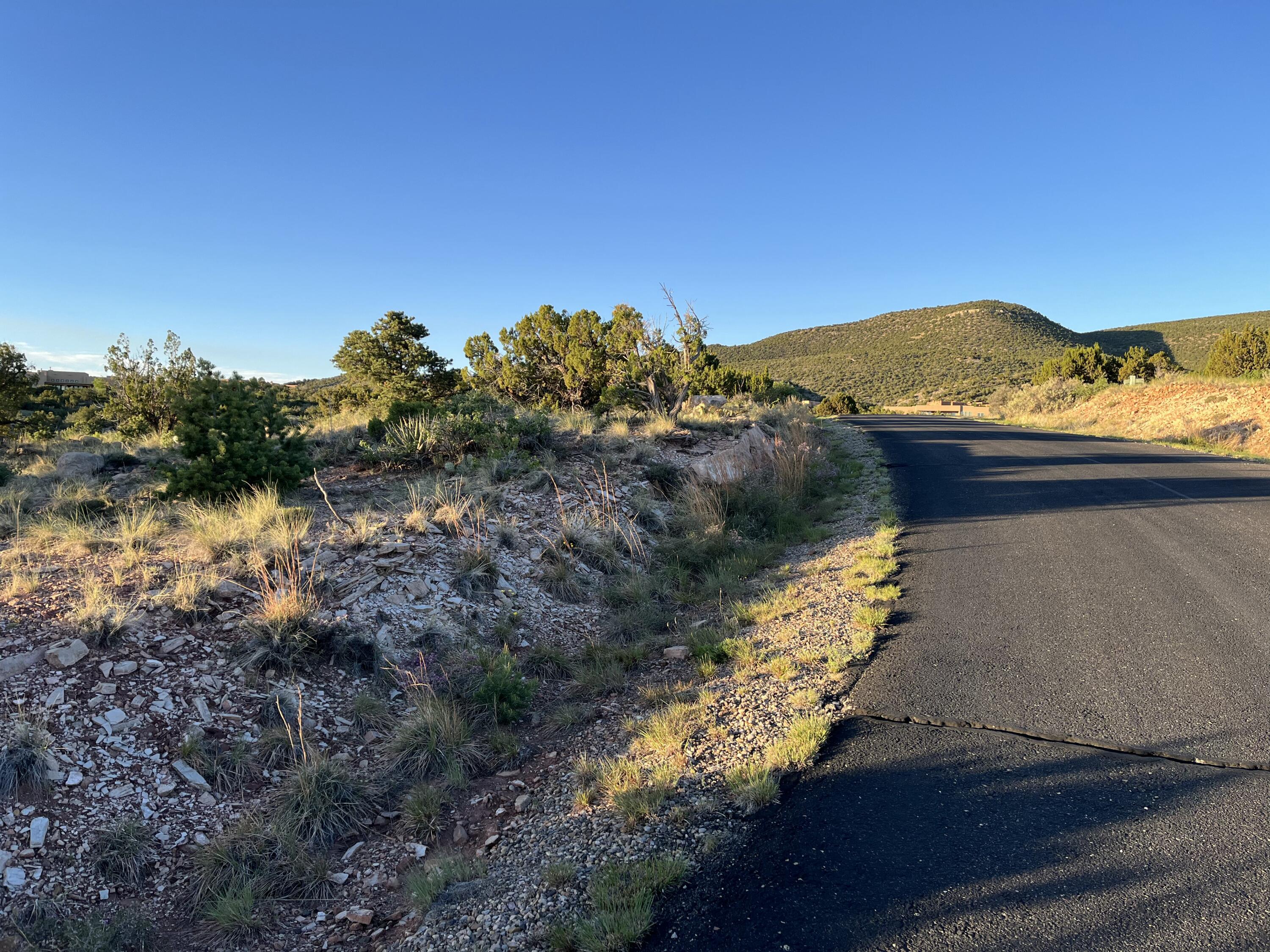 Photo 4 — 101 Wild Primrose Road
