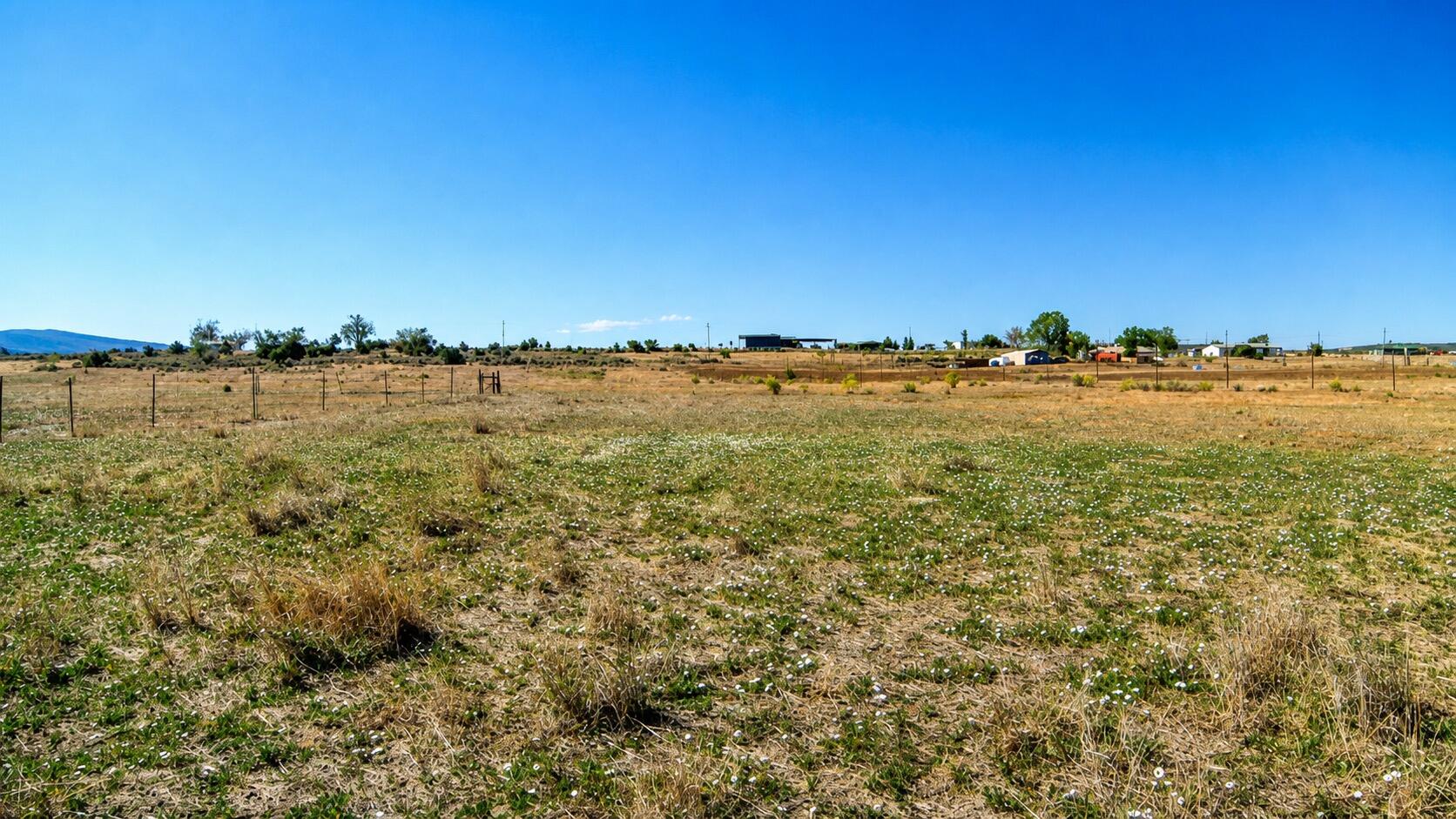 Photo 4 — 0 County Road 496