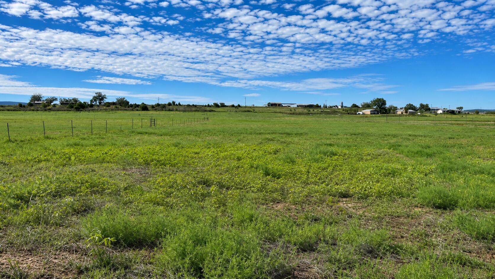 Photo 3 — 0 County Road 496