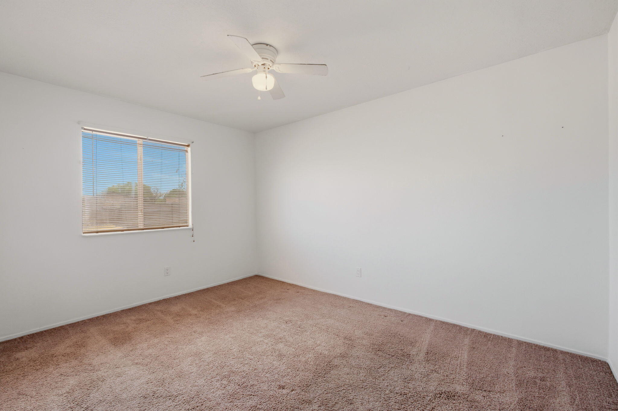 Photo 11 — 325 Timor Road SE