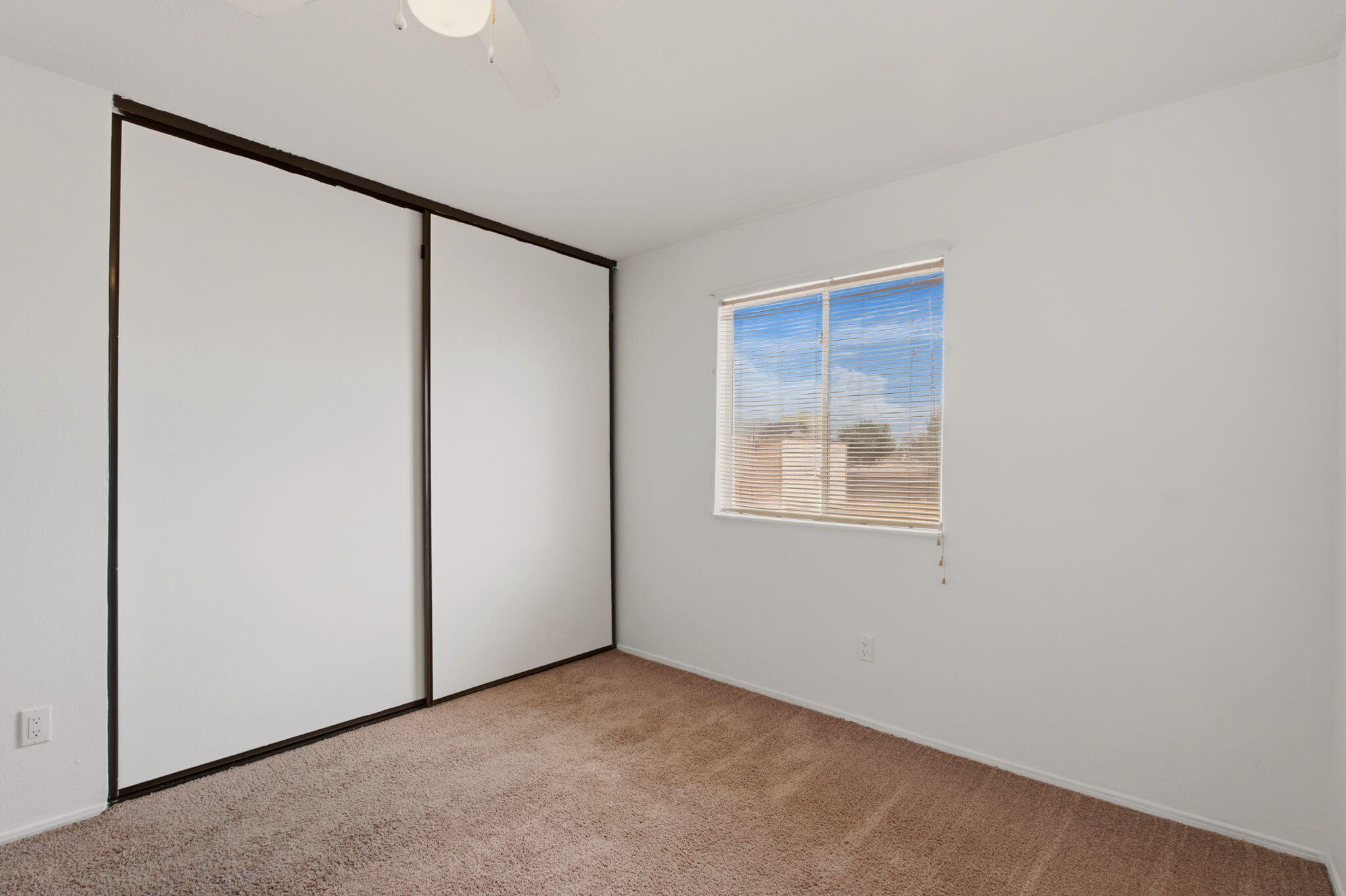 Photo 12 — 325 Timor Road SE