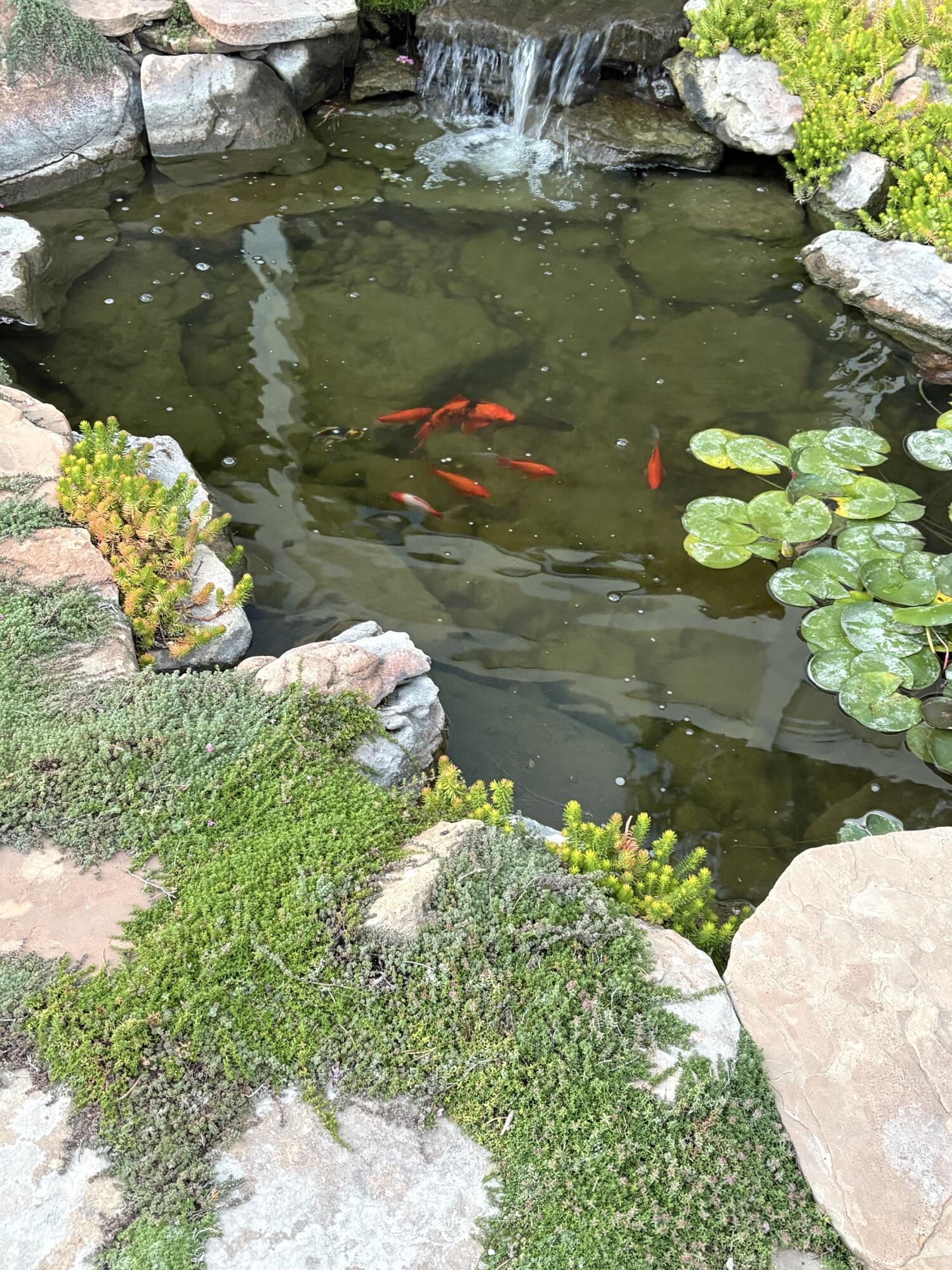 Photo 16 — 7108 Vivian Drive NE