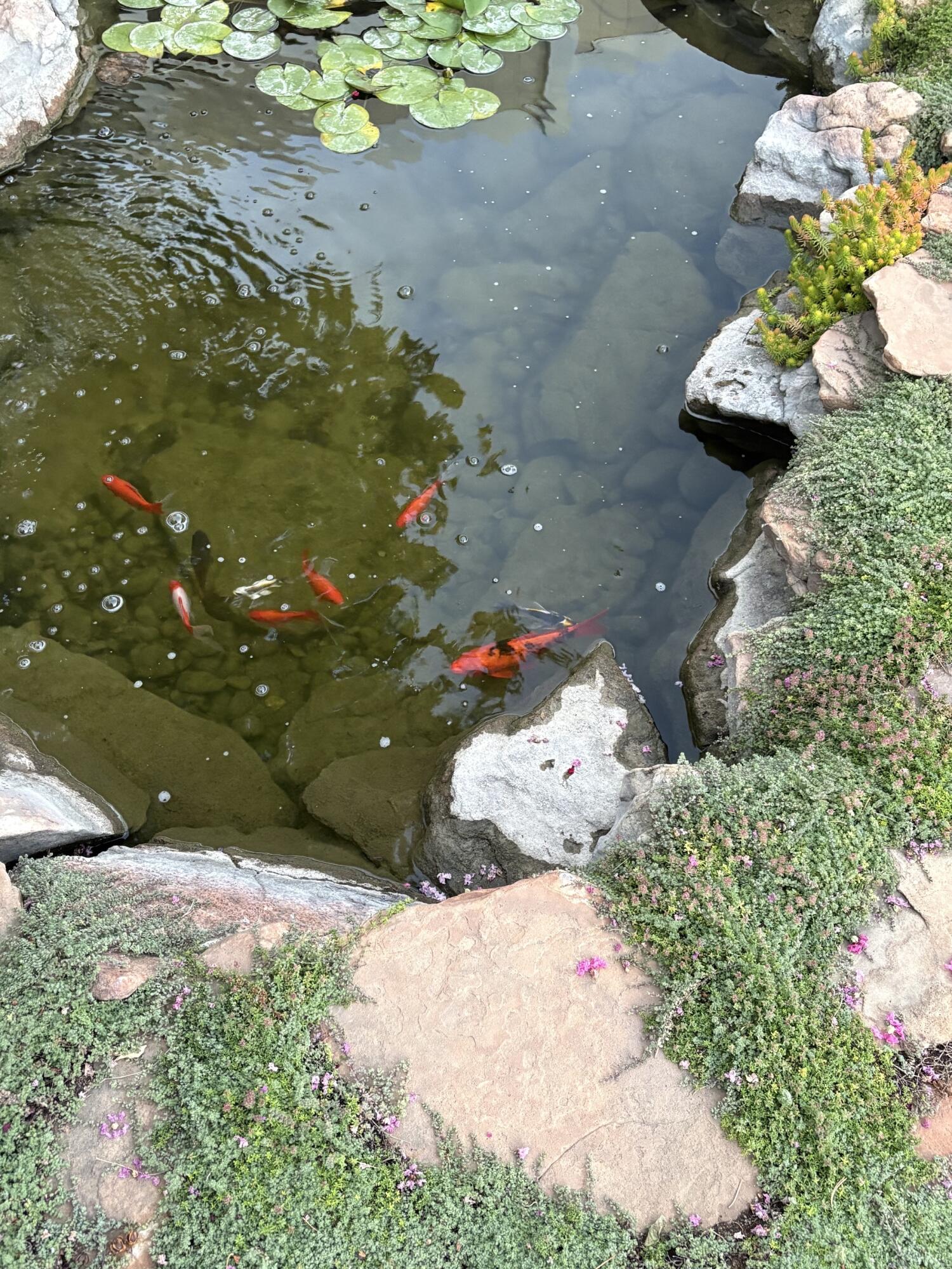 Photo 17 — 7108 Vivian Drive NE