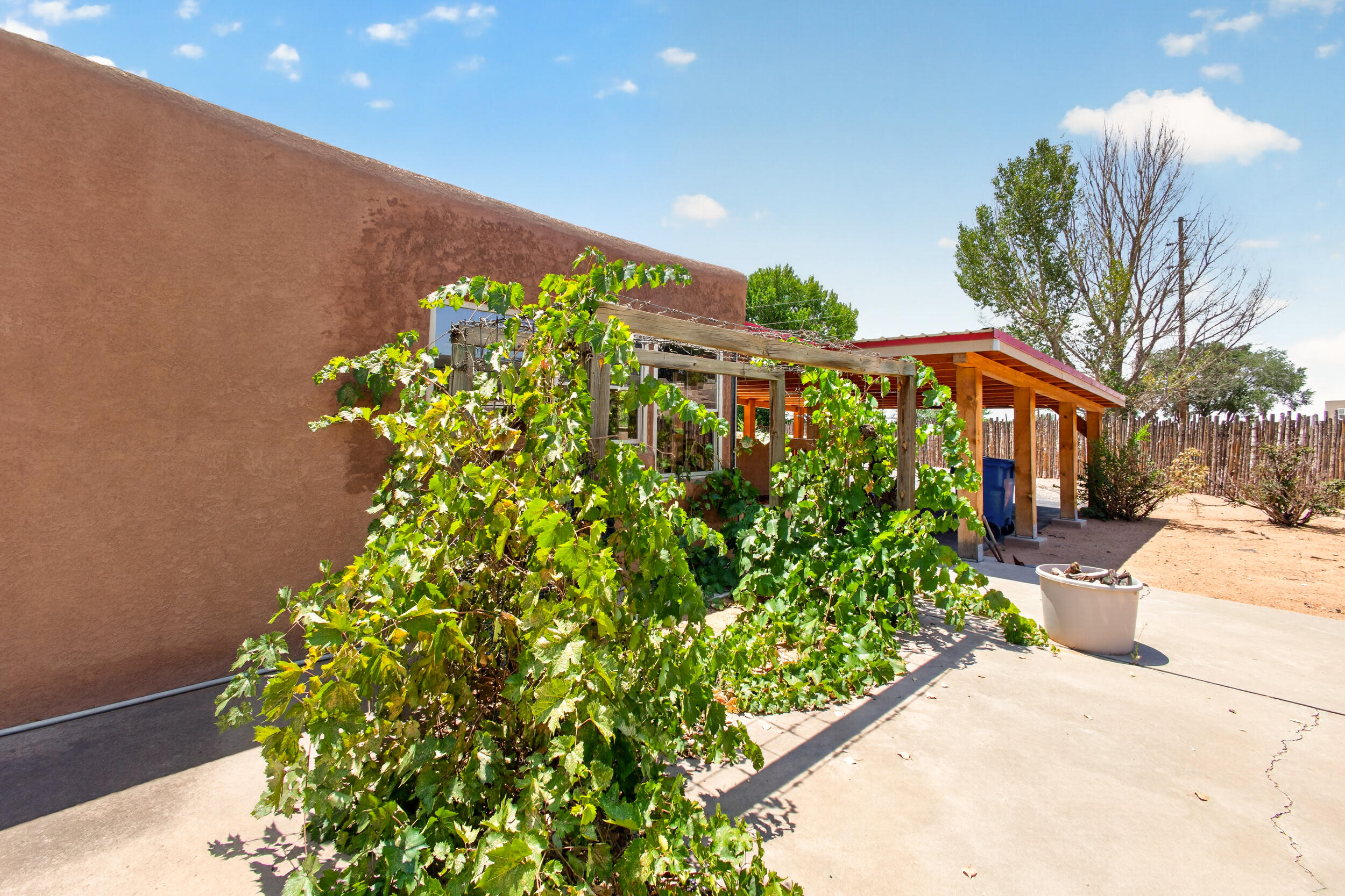 Photo 4 — 251 Sichler Drive SW