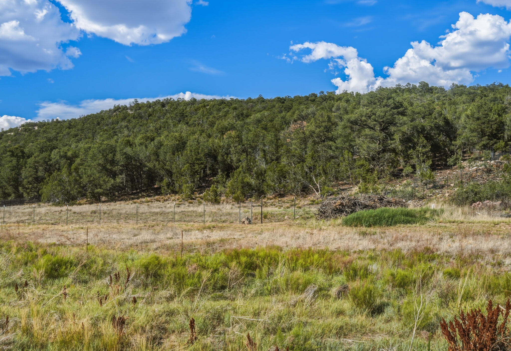 Photo 6 — 106 Mountain Valley Drive