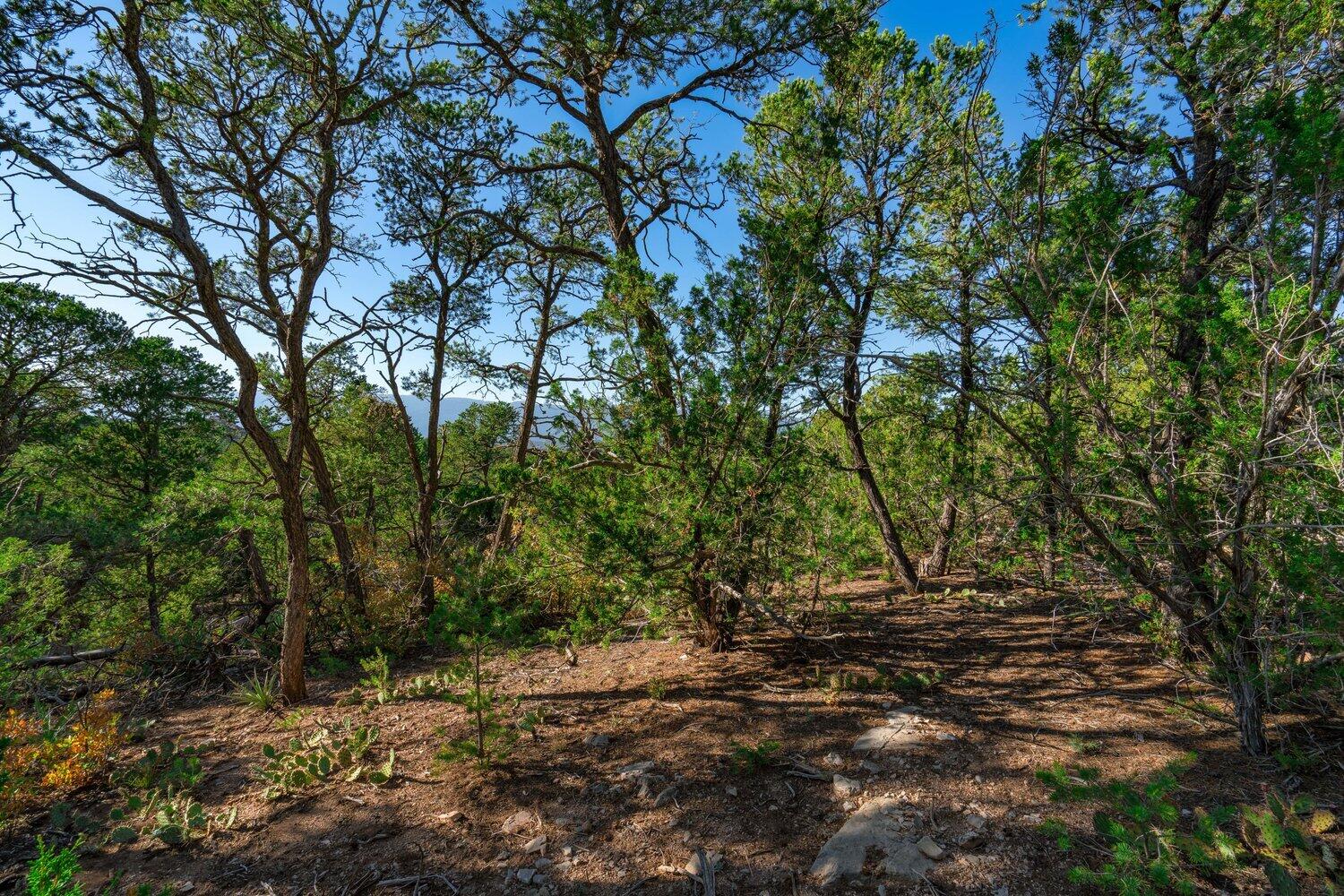 Photo 8 — 8 Tablazon Valley Drive