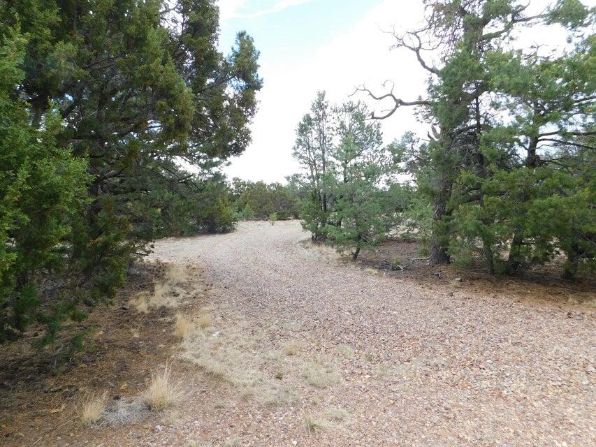 Photo 8 — 246 Spring Canyon Drive