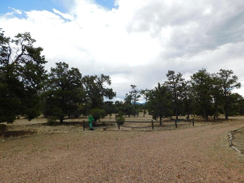 Photo 6 — 246 Spring Canyon Drive