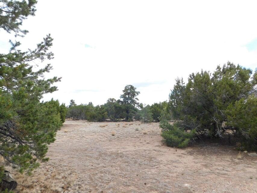 Photo 3 — 246 Spring Canyon Drive