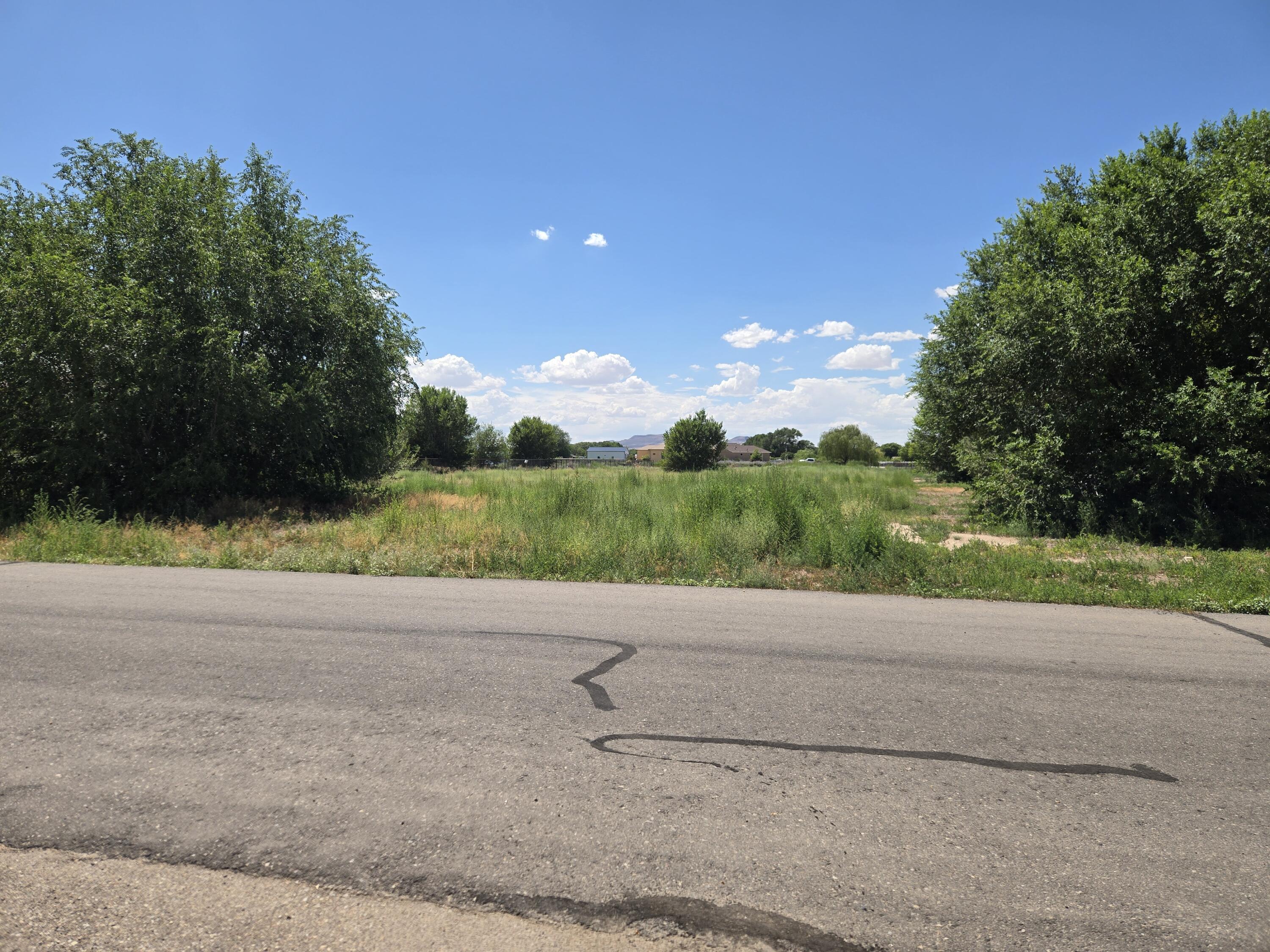 Photo 4 —  Berry Hill rd.