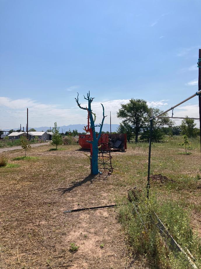 Photo 5 — 25 Pueblitos Road