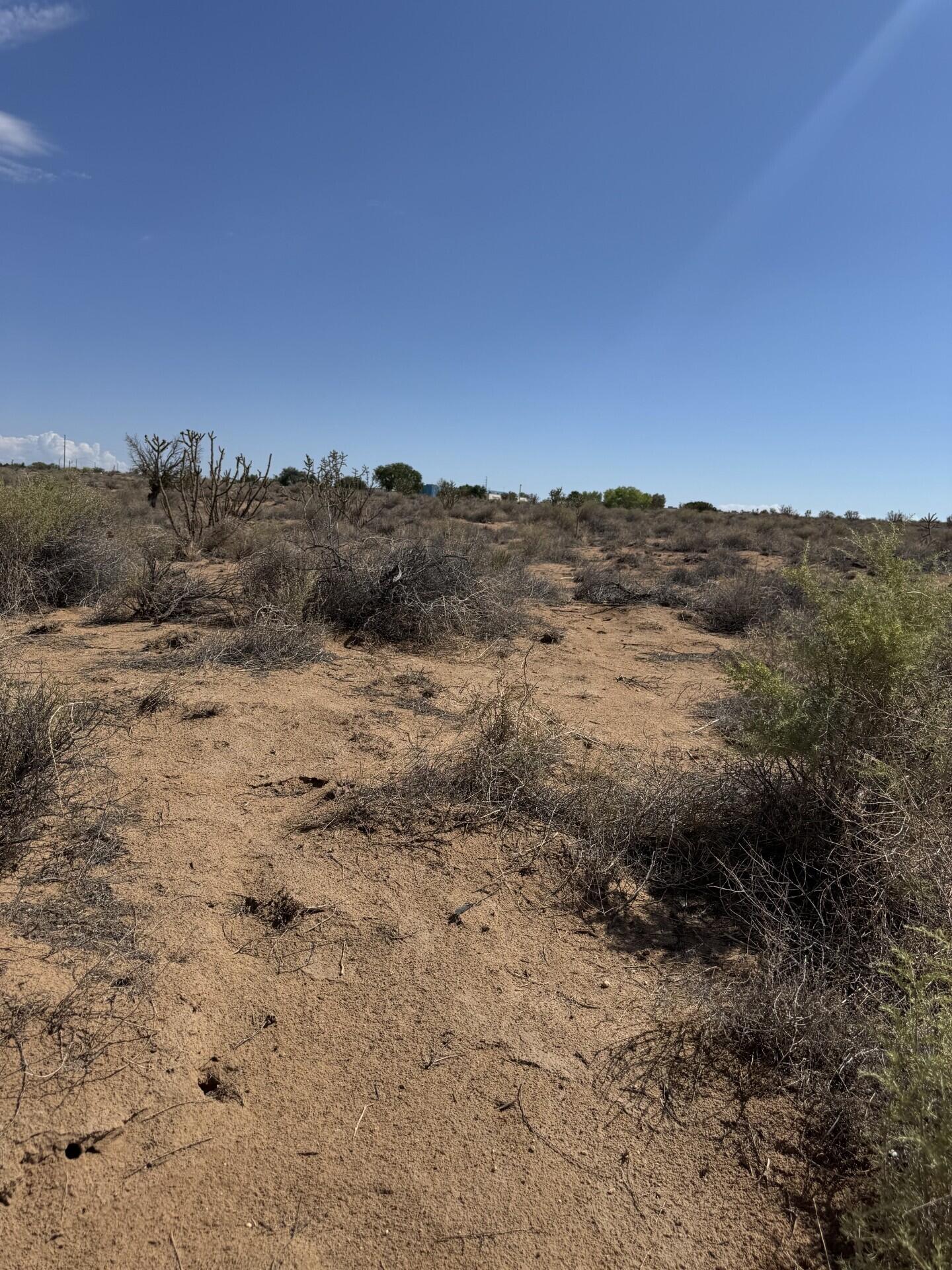 Photo 3 —  12th Avenue SE Lot 40