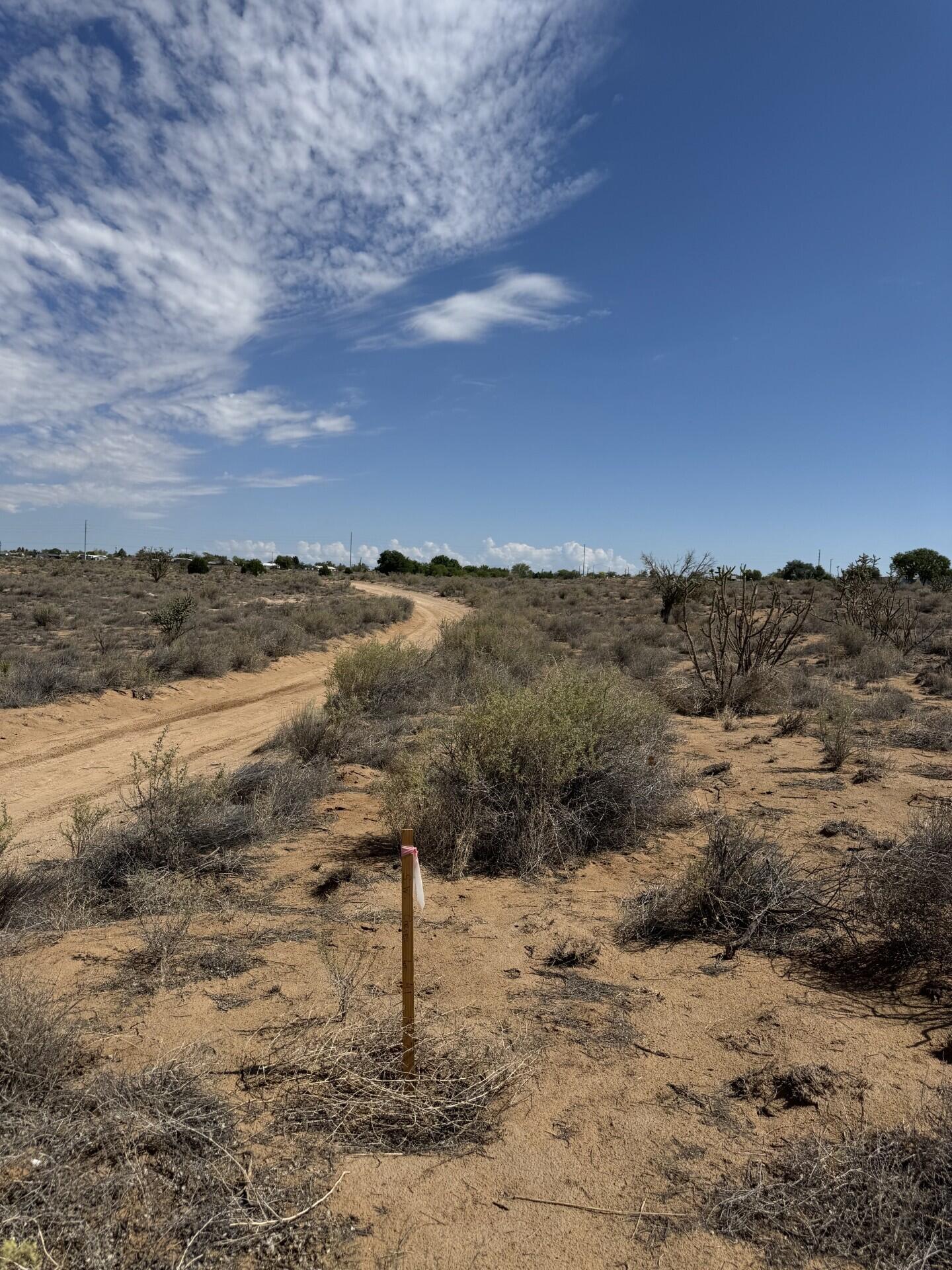 Photo 2 —  12th Avenue SE Lot 40