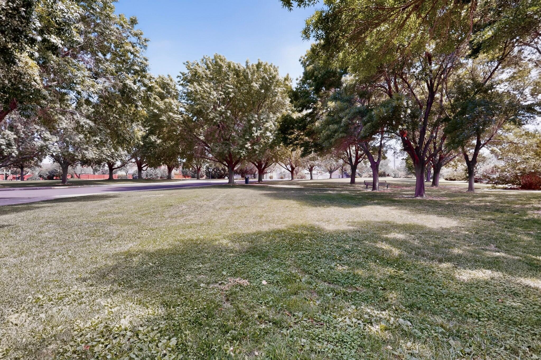 Photo 8 — 7409 Palomas Park Avenue NE