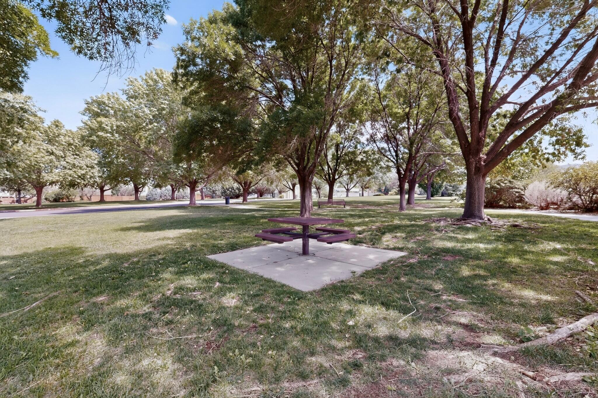 Photo 9 — 7409 Palomas Park Avenue NE