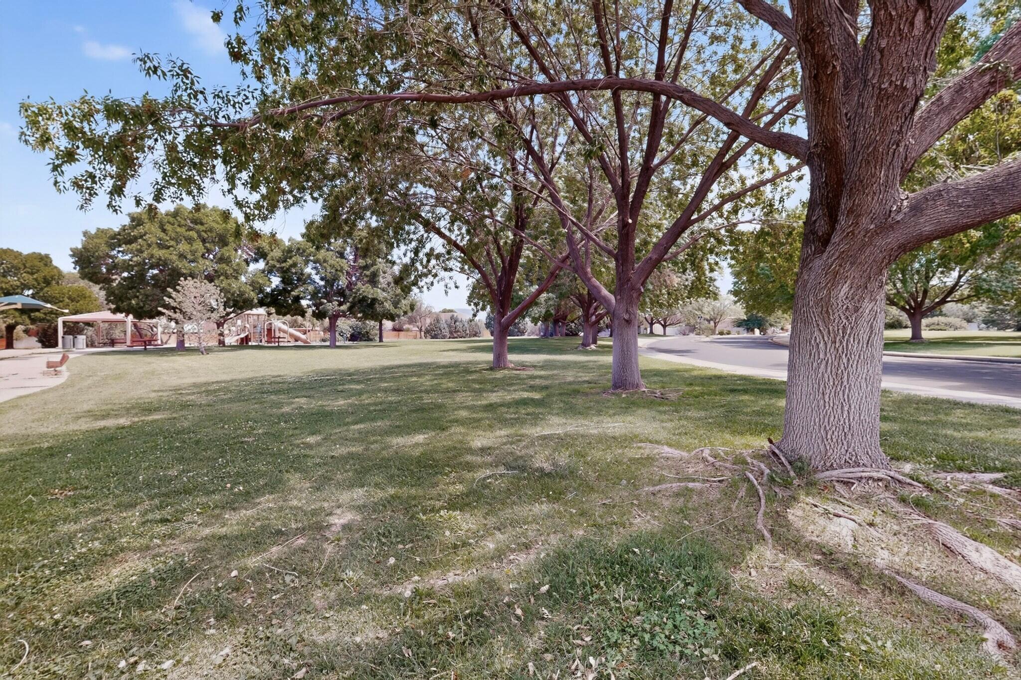 Photo 10 — 7409 Palomas Park Avenue NE