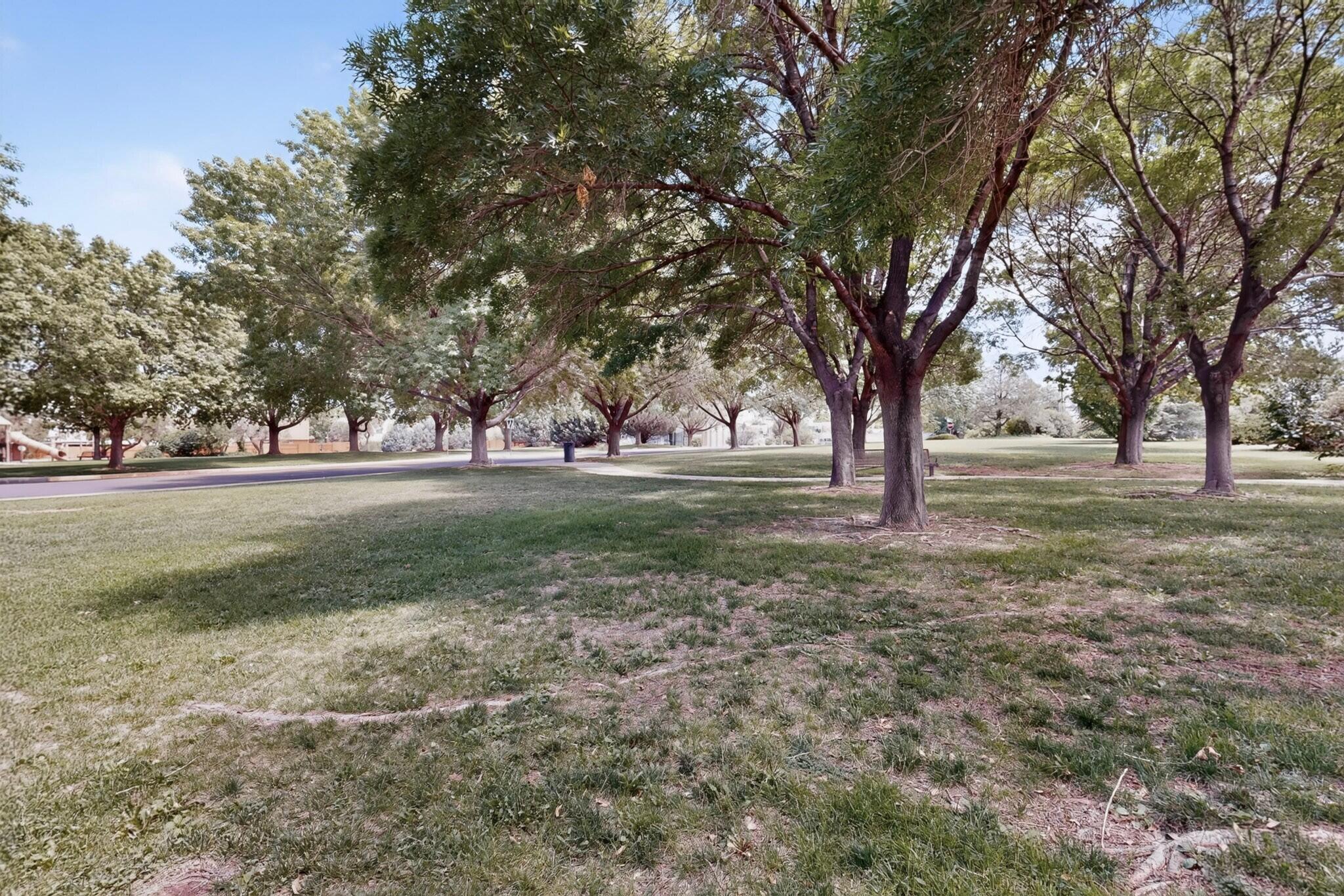 Photo 11 — 7409 Palomas Park Avenue NE