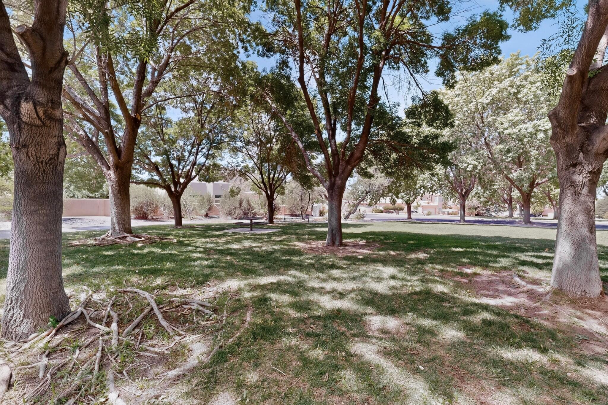 Photo 12 — 7409 Palomas Park Avenue NE