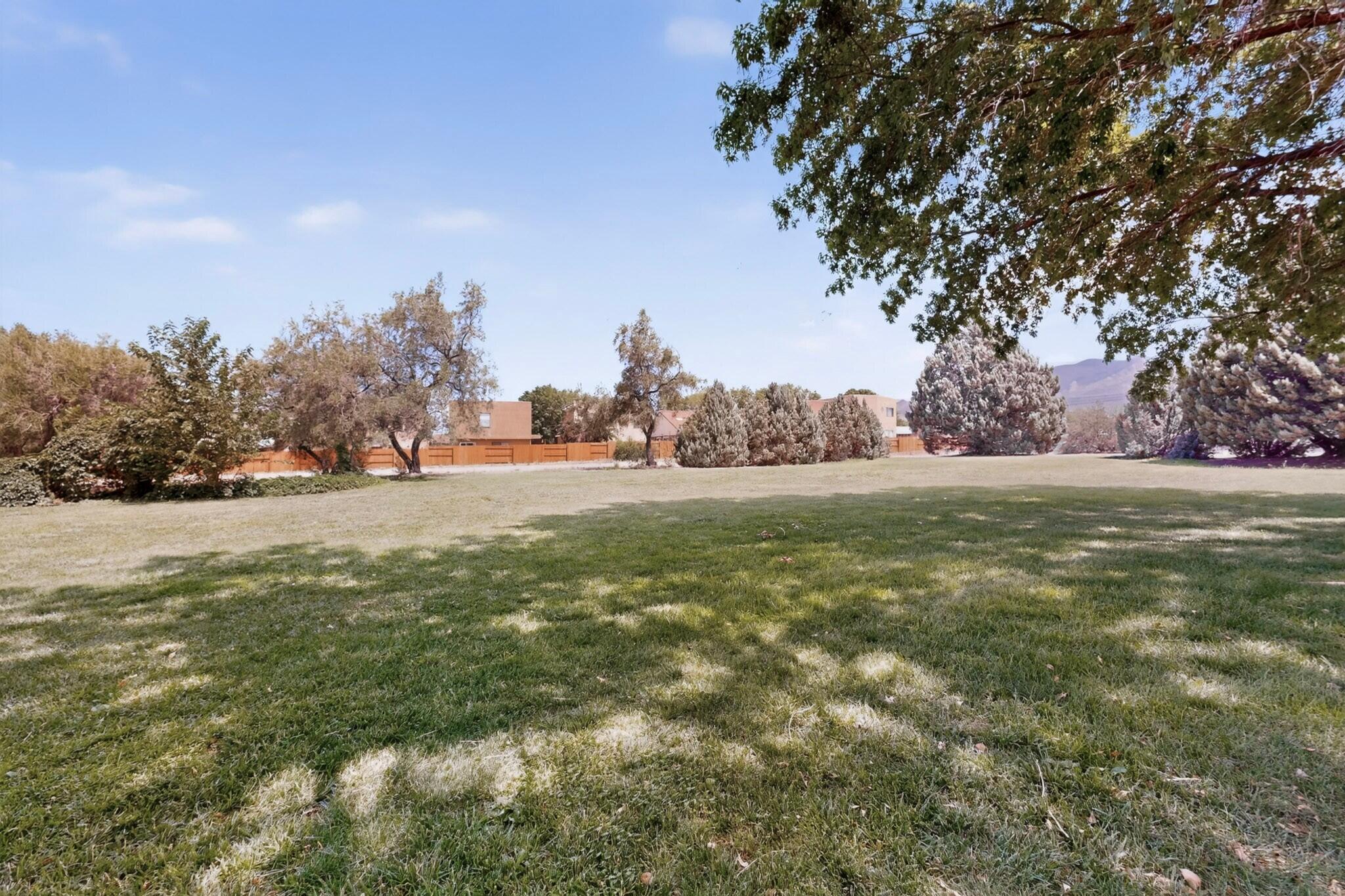 Photo 14 — 7409 Palomas Park Avenue NE