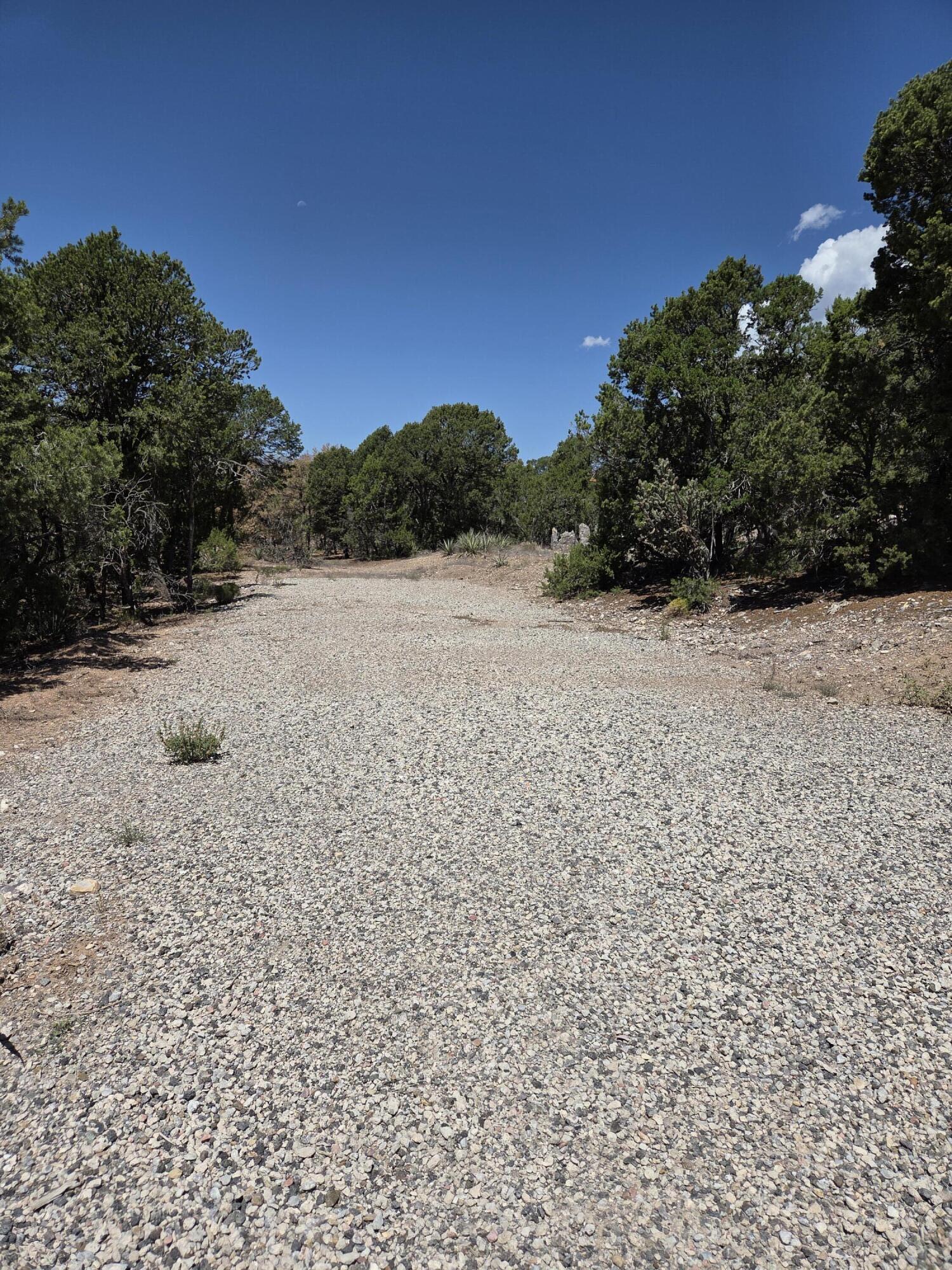Photo 4 — 275 Genevieve Road