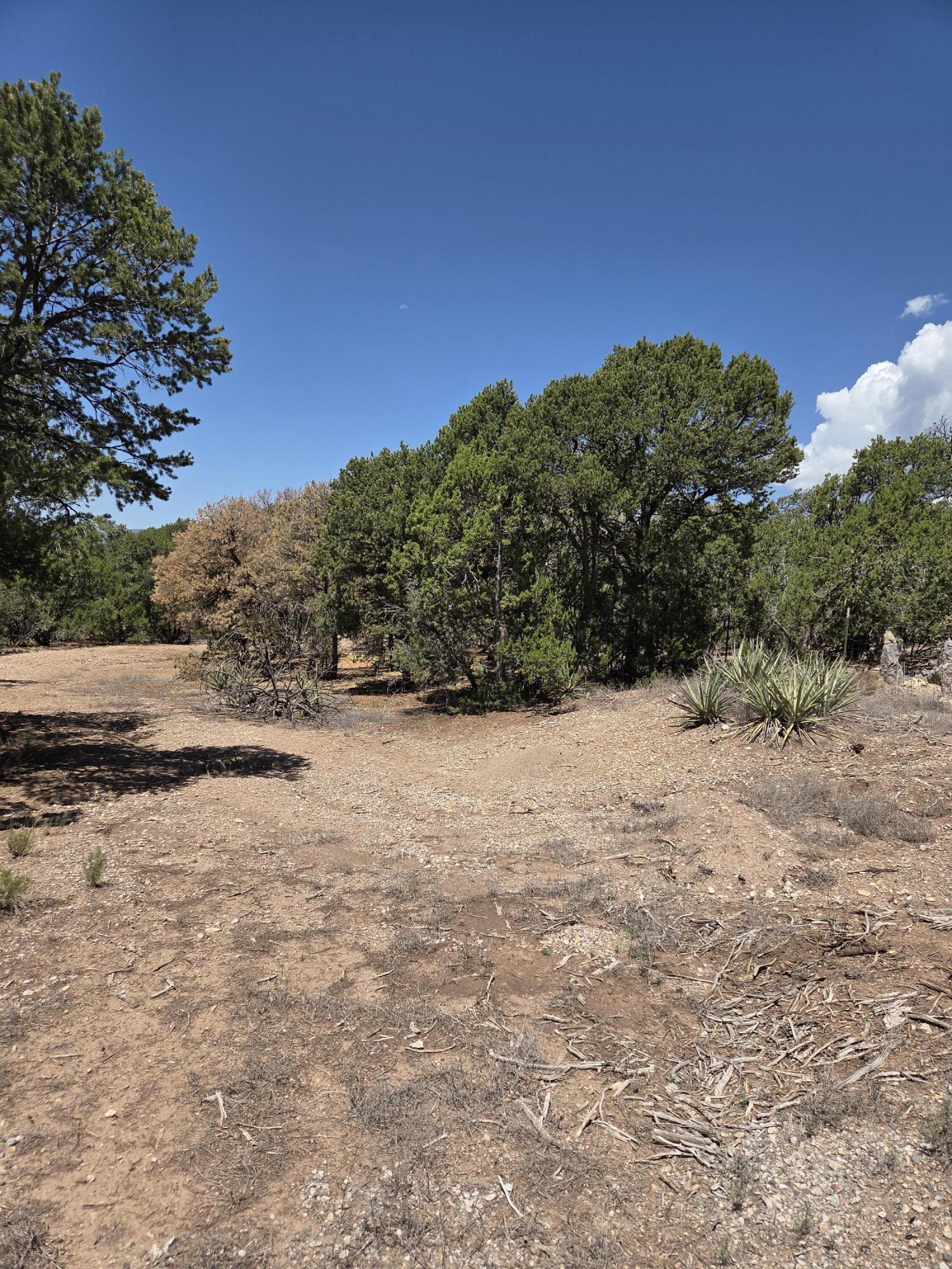 Photo 2 — 275 Genevieve Road