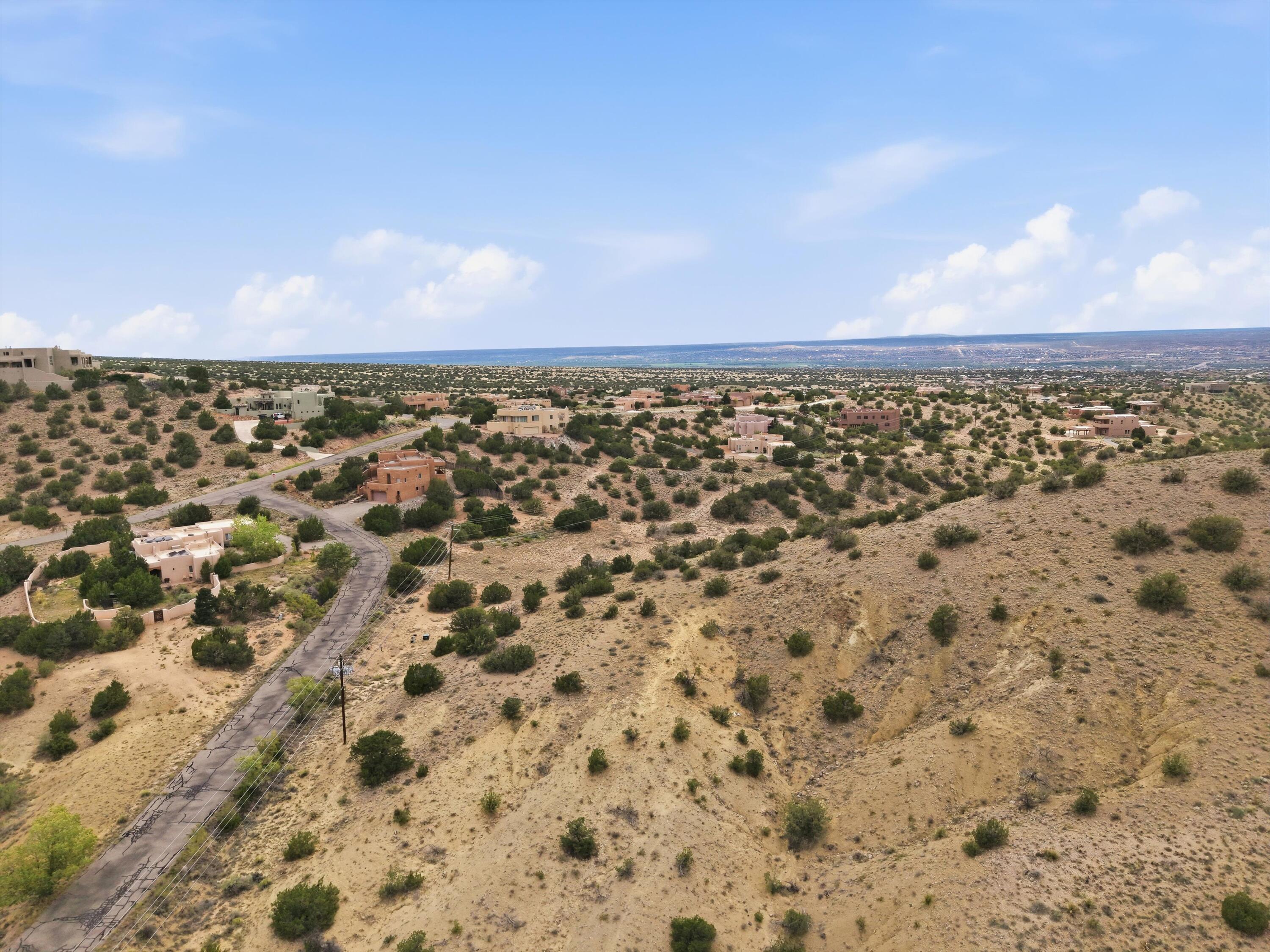 Photo 10 —  Calle Arbolitos