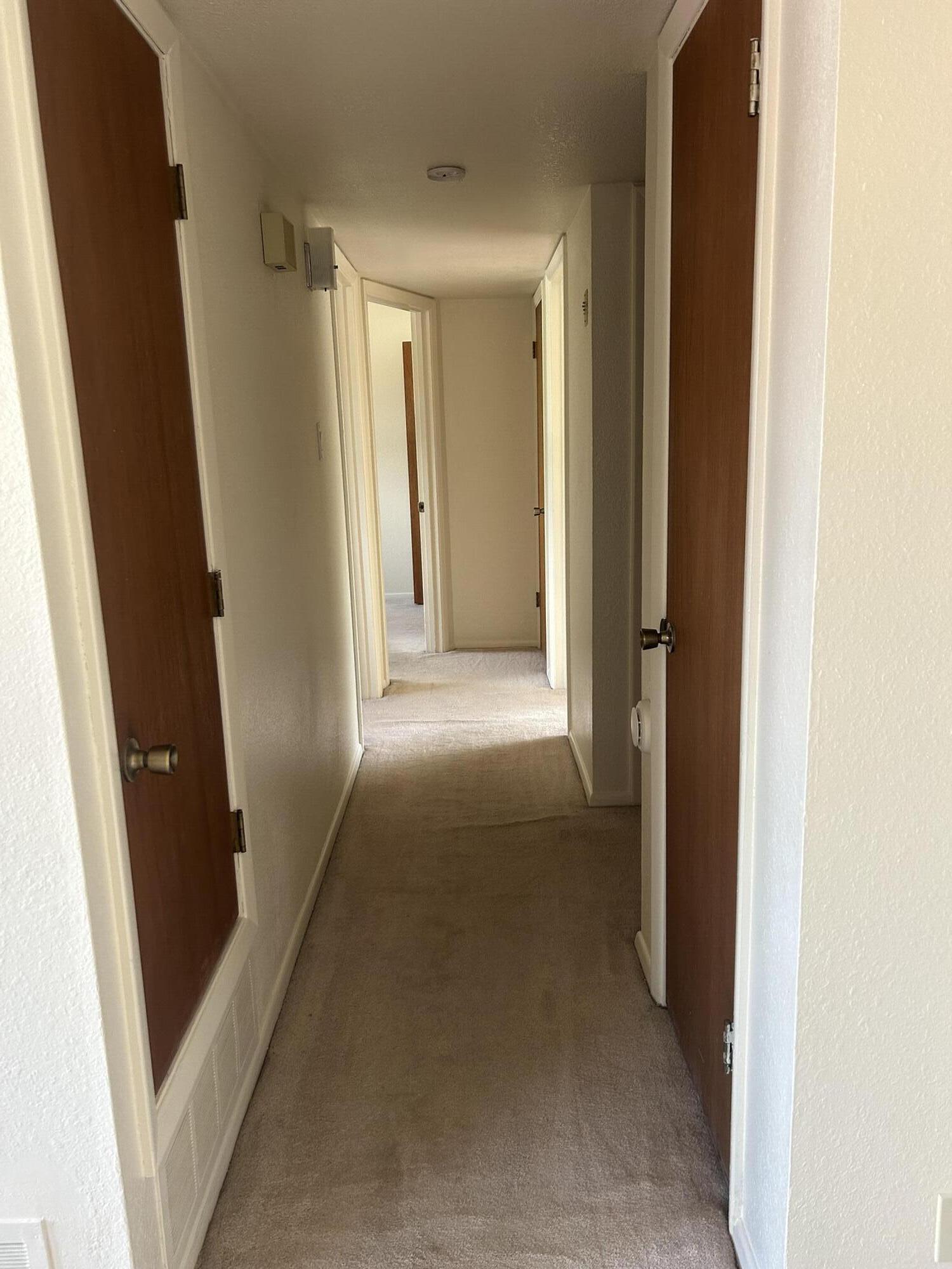 Photo 12 — 707 Neel Avenue
