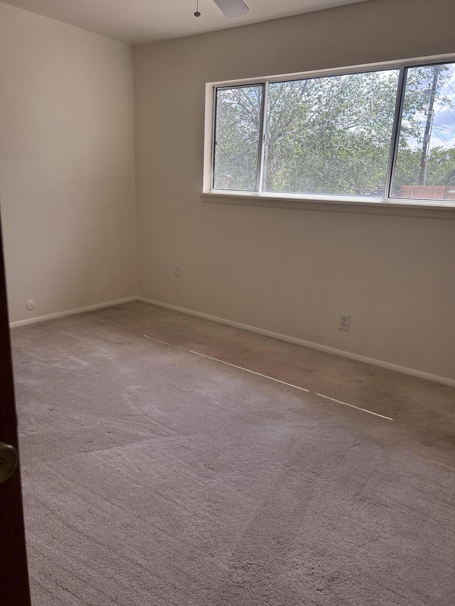 Photo 8 — 707 Neel Avenue