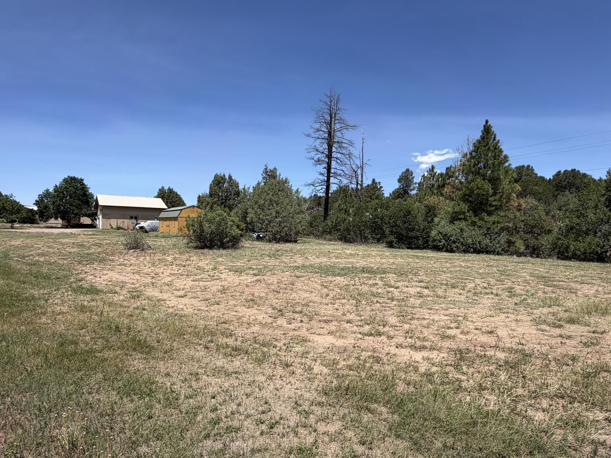 Photo 9 — 3 Brent Lane