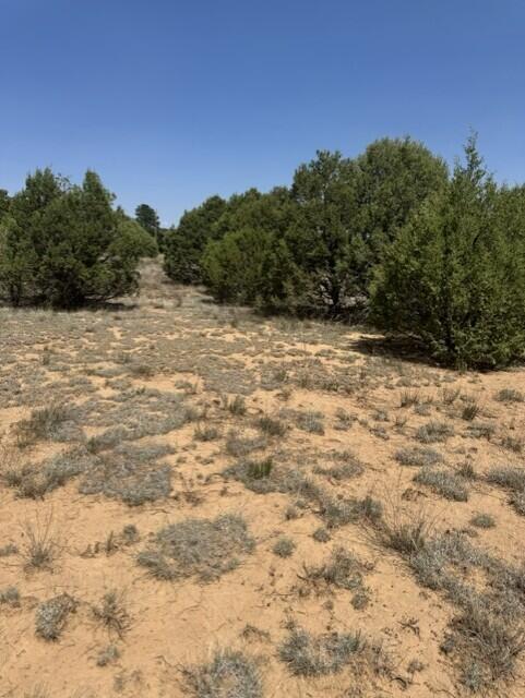 Photo 8 — 39 Quail Hollow Road