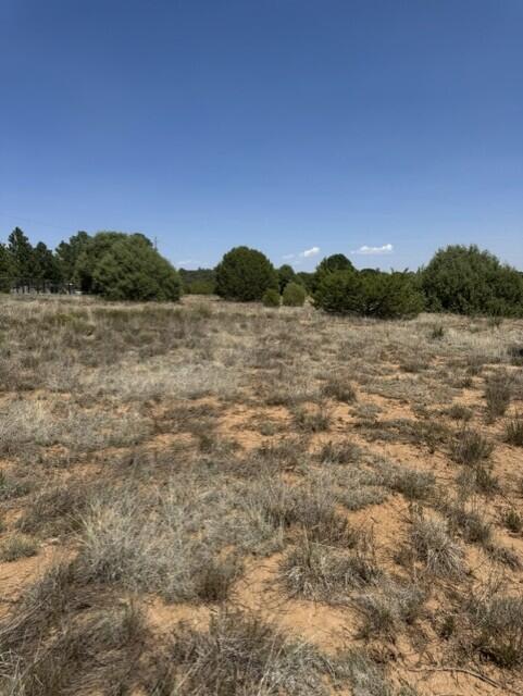 Photo 2 — 39 Quail Hollow Road