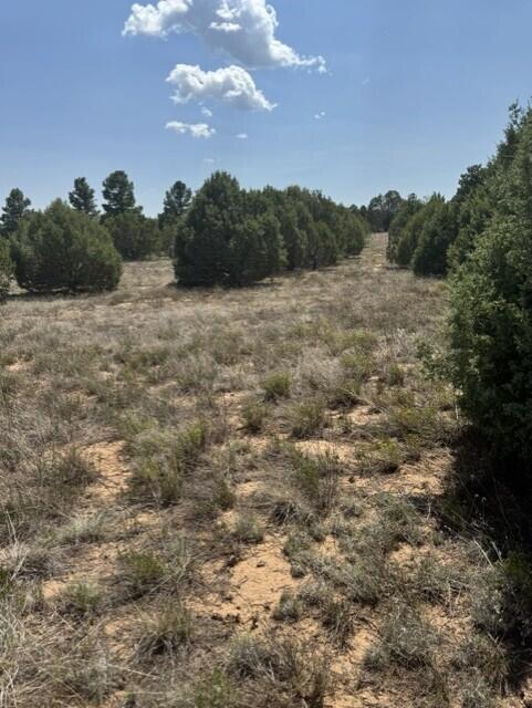 Photo 3 — 39 Quail Hollow Road
