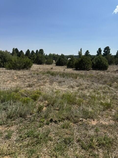 Photo 4 — 39 Quail Hollow Road