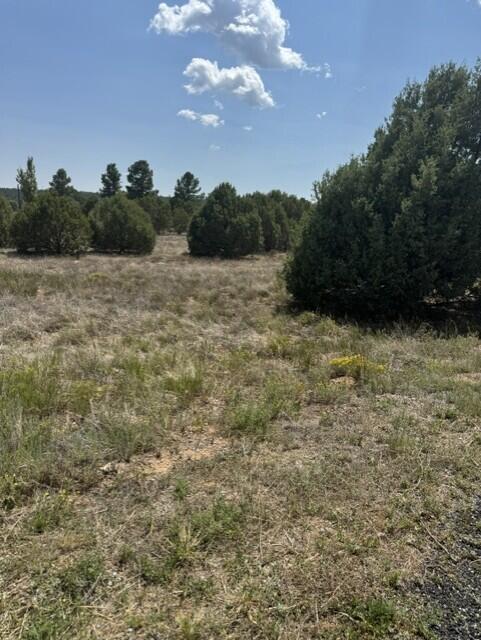 Photo 5 — 39 Quail Hollow Road
