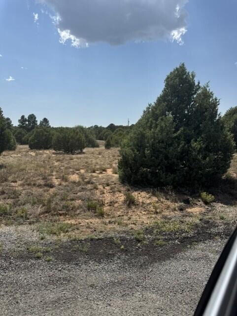 Photo 6 — 39 Quail Hollow Road